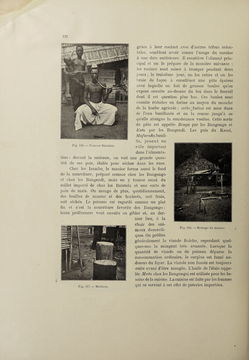 grâce à leur contact avec d’autres tribus orien¬ tales, semblent avoir connu l’usage du manioc à une date antérieure. Il constitue l’aliment prin¬ cipal et on le prépare de la manière suivante : les racines sont mises à tremper pendant deux jours ; le troisième jour, on les retire et on les broie de façon à constituer une pâte épaisse avec laquelle on fait de grosses boules qu’on expose ensuite au-dessus du feu dans le fournil dont il est question plus bas. Ces boules sont ensuite réduites en farine au moyen du manche de la hache agricole ; cettejfarine est mise dans de l’eau bouillante et on la remue jusqu’à ce quelle atteigne la consistance voulue. Cette sorte de pâte est appelée Bengo par les Bangongo et Kato par les Bangendi. Les pois du Kasai, Mafuraka, bouil- Fig. 115. — Fumeur Bambala. lis, jouent un rôle important dans l’alimenta¬ tion : durant la moisson, on voit une grande quan¬ tité de ces pois, étalés pour sécher dans les rues. Chez les Isambo, le manioc forme aussi le fond de la nourriture, préparé comme chez les Bangongo et chez les Bangendi, mais on y trouve aussi du millet importé de chez les Batetela et une sorte de pain de maïs. On mange de plus, quotidiennement, des feuilles de manioc et des haricots, soit frais, soit séchés. Le poisson est regardé comme un plat fin et c’est la nourriture favorite des Bangongo ; leurs ’ préférences vont ensuite au gibier et, en der¬ nier lieu, à la Fig. 116. — Scchagc du manioc. Fig. 117. — Mortiers. chair des ani¬ maux domesti¬ ques. On préfère généralement la viande fraîche, cependant quel¬ ques-uns la mangent très avancée. Lorsque la quantité de viande ou de poisson dépasse la consommation ordinaire, le surplus est fumé au- dessus du foyer. La viande non fumée est toujours cuite avant d’être mangée. L’huile de l’élais (appe¬ lée Muta chez les Bangongo) est utilisée pour les be¬ soins de le cuisine. La cuisine est faite par les femmes qui se servent à cet effet de poteries importées.