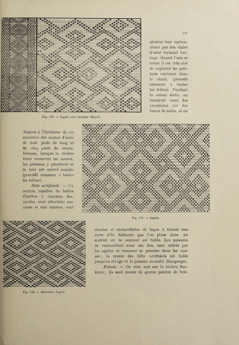 Fig. 170. — Ingala avec bordure Mayulu. obstrue leur embou¬ chure par des claies d’osier formant bar¬ rage. Quand l’eau se retire il est très aisé de capturer les pois¬ sons contenus dans le canal, (procédé commun à toutes les tribus). Pendant la saison sèche, on construit aussi des enceintes sur des bancs de sable, et on dispose à l’intérieur de ces enceintes des nasses d’osier de huit pieds de long let de cinq pieds de circon¬ férence; lorsque la rivière vient recouvrir les nasses, les poissons y pénètrent et le tout est enlevé ensuite (procédé commun à toutes les tribus). Ilôts artificiels. — Un certain nombre de bottes d’herbes à chacune des¬ quelles sont attachées une nasse et une amorce, sont » .1 > ;i;Q », i. i m a.».» Xj ,i XEE VîV S5 i.i » QuDXj l»t Ça ELI i tVI JX lit i. El Tl ITT » I 1 Vfi 1*1 tViU ÇBit: fiifi Si Si Ffi* j. ii'ï rff? ra« .i i t.i ~i t rro Xi 111. ■■.-iV *.v. I » 1 1.1.11,1. Q.i- 0.0 Xi i. r S1 L L I 1.1 I I L ITI S? If I DJ EXX üx XXX Tl ♦fi* ■ l.u , r » : i. I. i OCX Æi i.i.i asea rr OCX iXOXiXOXOO ES Il .1 XX xi r PP T i:j;i Sx O ■ ri t P. V-fi1 ex 5? fir.4« I a m Si XX) ..X iXx poq fi m; S I. I X I A PiV PS BS X» S* fi£ m iV> XXX ;r».-X XX rF=P □ □ CO l,tx 111’ .1,0- S3 IT O ; Ci: xxx nsy. no ,iit â 1XXX s ll.ll EfiVfi S exCuCex fi. xq ffi* Vfi CLT rq m XO □ □ fir XTi, !■!■■ BB ? » il,» I 8 1 Sx , 4 , » „ ♦ fi S M I l i I I. r El Ot TJI.1,1 H i Ht 1 l Si TT m i.i'i * Cn XXI »:i i. XXXI fifi oh rxr iii. XXx IT iVî fi xa ii CO. t XX XX» x m çq TE l.l.l •fiV w la.: ie >;i S su Sx 1.1,1 CO xx ICQ-lC ilu’i fiE fi Ox iii 111 >V> I I I l 3XE I.» «TT n i n > i ~i l.r'iii.iiXii s X h 111 -I—A- a i.i.i Ci il.» Ci i çq l.l.l.l.l I.1.1,1x XJ i l Ça 30 i.i.i i.i.i.i.i i.i .i. ». i i.i.i .1.1.1 1.170 i.i.i. «■ 111 XXXI .4 . I..» 1, I. I q i. i m BBS çm m .1 i.o iii». O i.i CO O, QZQ S fie B? coxco fi i.i.i.i I. il. i. v 070 J L ITT Xrrx rçcx ■ L. 1 I çrr Ox iii OX co OCQ 555E TT 1 xxx I . 8 0=5 xxx r p, o XO ,11111 fi S i.l a l . i 1X0 1*1 1 II a.i a. O ». i .x Ox cc Cm i,.i, j fiV Wi 1.8, I x;o fi S 1 IT i*ï‘i-«~r~r S iPc CL ri s orazi o CL CCCOCCS LT fie O- ïfi Il 1 1 I I II ~n—r iii TT O O O XXX TTT =fi Tj 955 55 pfi«- ■ àXX rrriT t » o il n rr .Tl *n TT IT'H JPCJC ,n JE T1~TT x . II*‘||“| I11 II ** l ï' *i i.i |‘*I l ll'll bi„. nr apc ir.ii. n il ninir uUn Tl Jpi «r|'H*jir~ ^iÇy* ..i('ii ilii)|>IÇ fi11.. Il'*11 lT*ll II TTti •|l*«l II SBSgSBE! ii 3000C TEC fi».. jft»==uX' ..fi» fiSsBE .ii'Iii «çV Il 11 ..I»..1 ‘lî‘°ll. ll'.'lP..II..1' Tl IL 11 H 11 52E ton nu n rr“8i“n- n n~ii ,u. ,n„ «.iii. B»..11. u t  ii^iî11 ^îill n”»111 ii^ii 1 n1 il .ii.. n ■» ii n n ..n**1 n..n. ji fini ..TL7 ... iw n ii Fig. 171. — Ingala. réunies et enchevêtrées de façon à former une sorte d’île flottante que l’on place dans un endroit où le courant est faible. Les poissons se rassemblent sous ces îles, sont attirés par les appâts et viennent se prendre dans les nas¬ ses ; la masse des ilôts artificiels est halée jusqu’au rivage et le poisson recueilli (Bangongo). Foenes. — On s’en sert sur la rivière San- kuru ; ils sont munis de quatre pointes de bois. Fig. 172. — Ekwakwa Ingala.