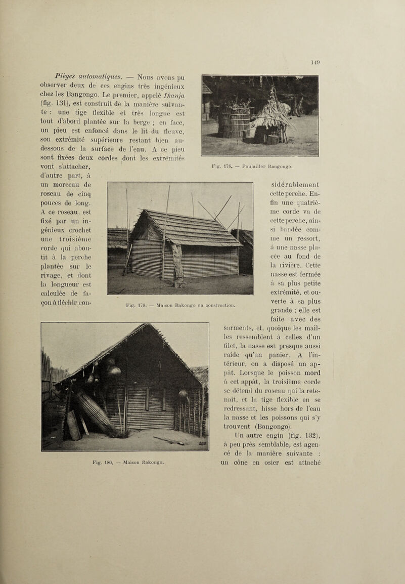 Pièges automatiques. — Nous avons pu observer deux de ces engins très ingénieux chez les Bangongo. Le premier, appelé Ikanja (fîg. 131), est construit de la manière suivan¬ te : une tige flexible et très longue est tout d’abord plantée sur la berge ; en face, un pieu est enfoncé dans le lit du fleuve, son extrémité supérieure restant bien au- dessous de la surface de l’eau. A ce pieu sont fixées deux cordes dont les extrémités vont s’attacher, d’autre part, à un morceau de roseau de cinq pouces de long. A ce roseau, est fixé par un in¬ génieux crochet une troisième corde qui abou¬ tit à la perche plantée sur le rivage, et dont la longueur est calculée de fa¬ çon à fléchir cou- 9 Fig. 17S. — Poulailler Bangongo. si dé rablement cette perche. En¬ fin une quatriè¬ me corde va de cette perche, ain¬ si bandée com¬ me un ressort, à une nasse pla¬ cée au fond de la rivière. Cette nasse est fermée à sa plus petite extrémité, et ou¬ verte à sa plus — Maison Bakongo en construction. 1 grande ; elle est faite avec des sarments, et, quoique les mail¬ les ressemblent à celles d’un filet, la nasse est presque aussi raide qu’un panier. A l’in¬ térieur, on a disposé un ap¬ pât. Lorsque le poisson mord à cet appât, la troisième corde se détend du roseau (pii la rete¬ nait, et la tige flexible en se redressant, hisse hors de l’eau la nasse et les poissons qui s’y trouvent (Bangongo). Un autre engin (fig. 132), à peu près semblable, est agen¬ cé de la manière suivante : un cône en osier est attaché Fig. 179. Fig. 180. — Maison Bakongo.