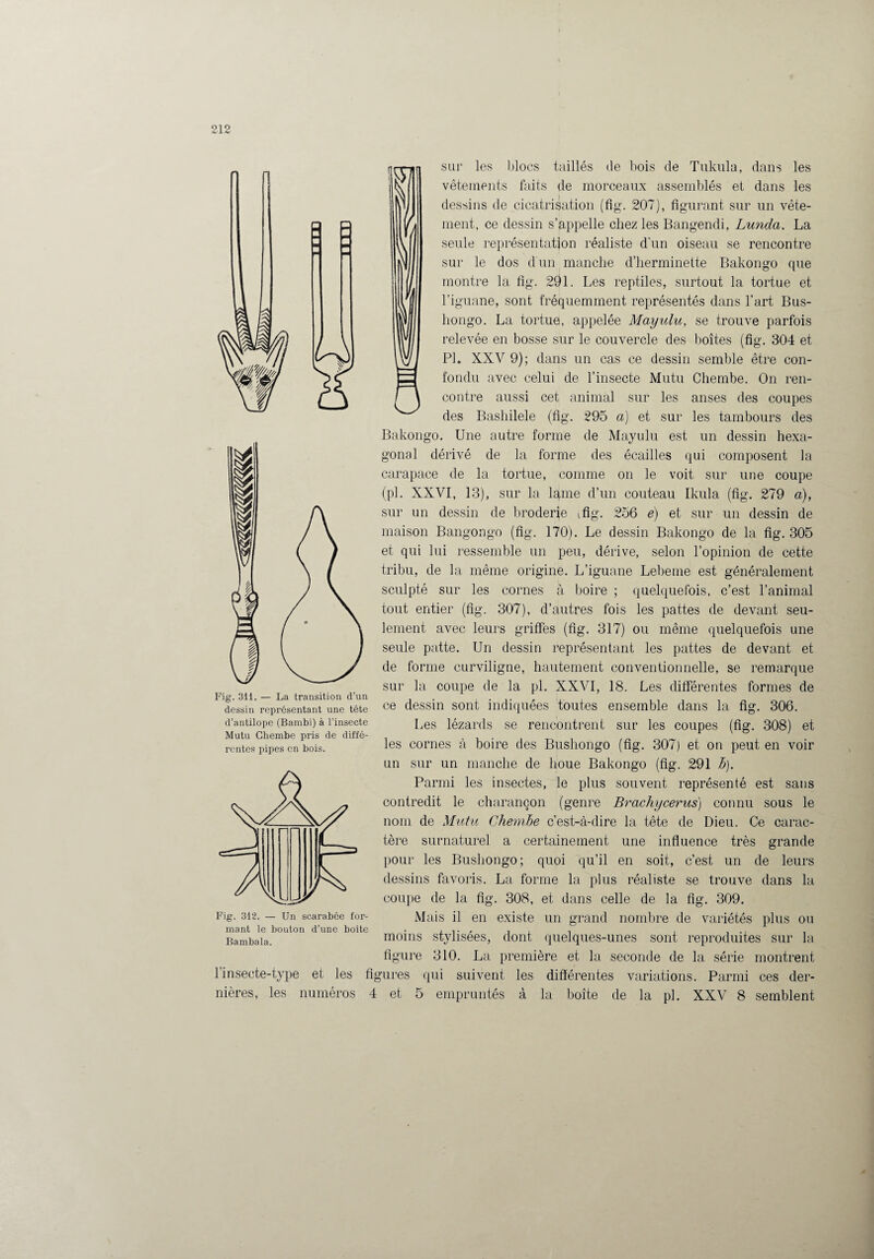 Fig. 311. — La transition d’un dessin représentant une tête d’antilope (Bambi) à l’insecte Mutu Chembe pris de diffé¬ rentes pipes en bois. Fig. 312. — Un scarabée for¬ mant le bouton d’une boite Bambala. l’insecte-type et les nières, les numéros sur les blocs taillés de bois de Tukula, dans les vêtements faits de morceaux assemblés et dans les dessins rie cicatrisation (fig. 207), figurant sur un vête¬ ment, ce dessin s’appelle chez les Bangendi, Lunda. La seule représentation réaliste d'un oiseau se rencontre sur le dos d'un manche d’herminette Bakongo que montre la fig. 291. Les reptiles, surtout la tortue et l’iguane, sont fréquemment représentés dans l’art Bus- hongo. La tortue, appelée Mayidu, se trouve parfois relevée en bosse sur le couvercle des boîtes (fig. 304 et Pi. XXV 9); dans un cas ce dessin semble être con¬ fondu avec celui de l’insecte Mutu Chembe. On ren¬ contre aussi cet animal sur les anses des coupes des Bashilele (fig. 295 a) et sur les tambours des Bakongo. Une autre forme de Mayulu est un dessin hexa¬ gonal dérivé de la forme des écailles qui composent la carapace de la tortue, comme on le voit sur une coupe (pl. XXVI, 13), sur la lame d’un couteau Ikula (fig. 279 a), sur un dessin de broderie ifig. 256 e) et sur un dessin de maison Bangongo (fig. 170). Le dessin Bakongo de la fig. 305 et qui lui ressemble un peu, dérive, selon l’opinion de cette tribu, de la même origine. L’iguane Lebetne est généralement sculpté sur les cornes à boire ; quelquefois, c’est l’animal tout entier (fig. 307), d’autres fois les pattes de devant seu¬ lement avec leurs griffes (fig. 317) ou même quelquefois une seule patte. Un dessin représentant les pattes de devant et de forme curviligne, hautement conventionnelle, se remarque sur la coupe de la pl. XXVI, 18. Les différentes formes de ce dessin sont indiquées toutes ensemble dans la fig. 306. Les lézards se rencontrent sur les coupes (fig. 308) et les cornes à boire des Bushongo (fig. 307) et on peut en voir un sur un manche de houe Bakongo (fig. 291 h). Parmi les insectes, le plus souvent représenté est sans contredit le charançon (genre Brachycerus) connu sous le nom de Mutu Chembe c’est-à-dire la tête de Dieu. Ce carac¬ tère surnaturel a certainement une influence très grande pour les Bushongo; quoi qu’il en soit, c’est un de leurs dessins favoris. La forme la plus réaliste se trouve dans la coupe de la fig. 308, et dans celle de la fig. 309. Mais il en existe un grand nombre de variétés plus ou moins stylisées, dont quelques-unes sont reproduites sur la figure 310. La première et la seconde de la série montrent pires qui suivent les différentes variations. Parmi ces der- et 5 empruntés à la boîte de la pl. XXV 8 semblent