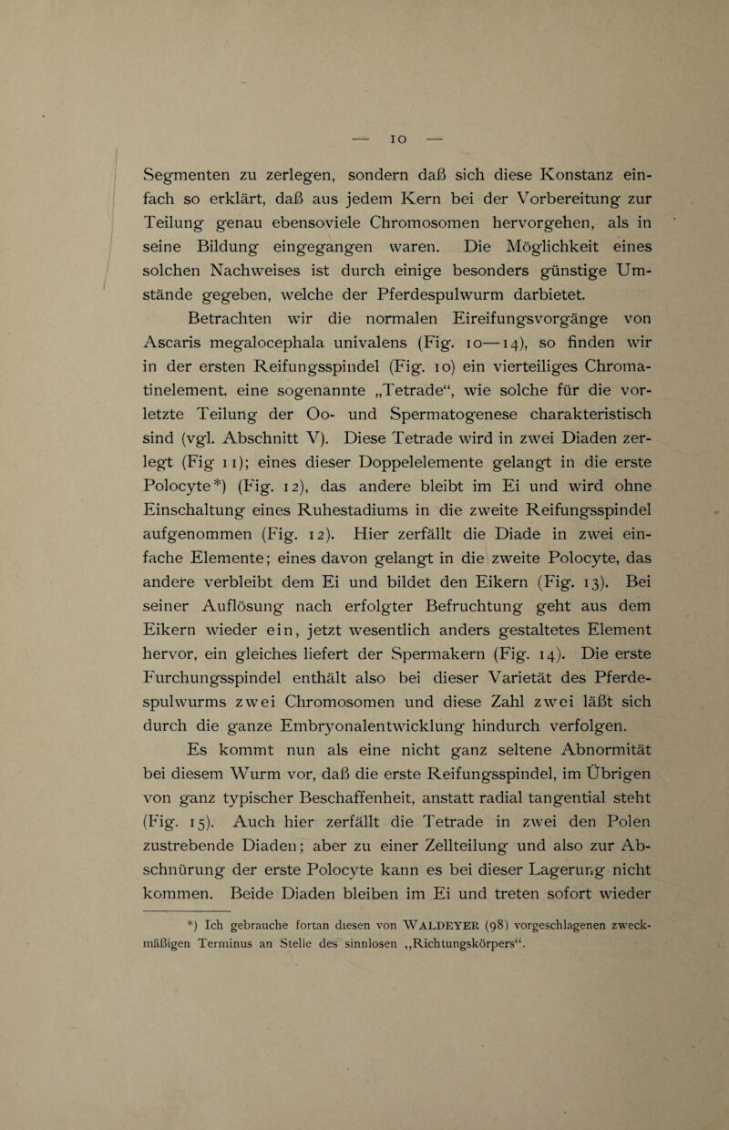 IO Segmenten zu zerlegen, sondern daß sich diese Konstanz ein¬ fach so erklärt, daß aus jedem Kern bei der Vorbereitung zur Teilung genau ebenso viele Chromosomen hervor gehen, als in seine Bildung eingegangen waren. Die Möglichkeit eines solchen Nachweises ist durch einige besonders günstige Um¬ stände gegeben, welche der Pferdespulwurm darbietet. Betrachten wir die normalen Eireifungsvorgänge von Ascaris megalocephala univalens (Fig. io—14), so finden wir in der ersten Reifungsspindel (Fig. 10) ein vierteiliges Chroma¬ tinelement, eine sogenannte „Tetrade“, wie solche für die vor¬ letzte Teilung der Oo- und Spermatogenese charakteristisch sind (vgl. Abschnitt V). Diese Tetrade wird in zwei Diaden zer¬ legt (Fig 11); eines dieser Doppelelemente gelangt in die erste Polocyte*) (Fig. 12), das andere bleibt im Ei und wird ohne Einschaltung eines Ruhestadiums in die zweite Reifungsspindel auf genommen (Fig. 12). Hier zerfällt die Diade in zwei ein¬ fache Elemente; eines davon gelangt in die zweite Polocyte, das andere verbleibt dem Ei und bildet den Eikern (Fig. 13). Bei seiner Auflösung nach erfolgter Befruchtung geht aus dem Eikern wieder ein, jetzt wesentlich anders gestaltetes Element hervor, ein gleiches liefert der Spermakern (Fig. 14). Die erste Furchungsspindel enthält also bei dieser Varietät des Pferde¬ spulwurms zwei Chromosomen und diese Zahl zwei läßt sich durch die ganze Embryonalentwicklung hindurch verfolgen. Es kommt nun als eine nicht ganz seltene Abnormität bei diesem Wurm vor, daß die erste Reifungsspindel, im Übrigen von ganz typischer Beschaffenheit, anstatt radial tangential steht (Fig. 15). Auch hier zerfällt die Tetrade in zwei den Polen zustrebende Diaden; aber zu einer Zellteilung und also zur Ab¬ schnürung der erste Polocyte kann es bei dieser Lagerung nicht kommen. Beide Diaden bleiben im Ei und treten sofort wieder *) Ich gebrauche fortan diesen von WALDEYER (98) vorgeschlagenen zweck¬ mäßigen Terminus an Stelle des sinnlosen ,,Richtungskörpers“.