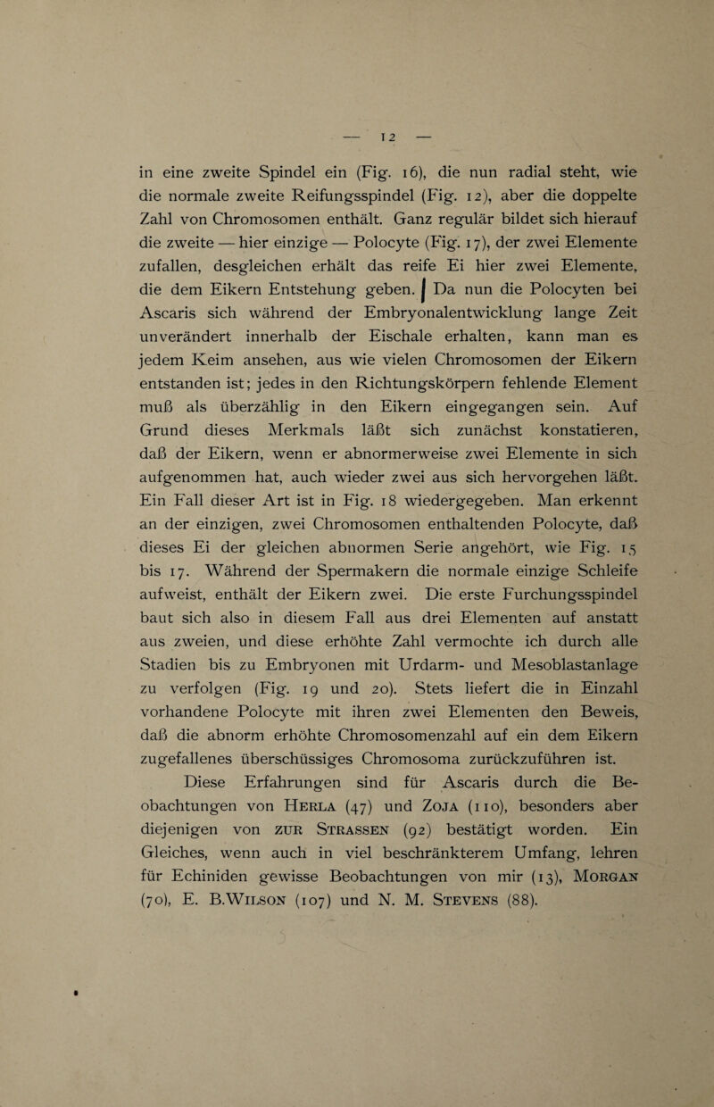 in eine zweite Spindel ein (Fig. 16), die nun radial steht, wie die normale zweite Reifungsspindel (Fig. 12), aber die doppelte Zahl von Chromosomen enthält. Ganz regulär bildet sich hierauf die zweite — hier einzige — Polocyte (Fig. 17), der zwei Elemente zufallen, desgleichen erhält das reife Ei hier zwei Elemente, die dem Eikern Entstehung geben. J Da nun die Polocyten bei Ascaris sich während der Embryonalentwicklung lange Zeit unverändert innerhalb der Eischale erhalten, kann man es jedem Keim ansehen, aus wie vielen Chromosomen der Eikern entstanden ist; jedes in den Richtungskörpern fehlende Element muß als überzählig in den Eikern eingegangen sein. Auf Grund dieses Merkmals läßt sich zunächst konstatieren, daß der Eikern, wenn er abnormerweise zwei Elemente in sich auf genommen hat, auch wieder zwei aus sich hervorgehen läßt. Ein Fall dieser Art ist in Fig. 18 wiedergegeben. Man erkennt an der einzigen, zwei Chromosomen enthaltenden Polocyte, daß dieses Ei der gleichen abnormen Serie angehört, wie Fig. 15 bis 17. Während der Spermakern die normale einzige Schleife auf weist, enthält der Eikern zwei. Die erste Furchungsspindel baut sich also in diesem Fall aus drei Elementen auf anstatt aus zweien, und diese erhöhte Zahl vermochte ich durch alle Stadien bis zu Embryonen mit Urdarm- und Mesoblastanlage zu verfolgen (Fig. 19 und 20). Stets liefert die in Einzahl vorhandene Polocyte mit ihren zwei Elementen den Beweis, daß die abnorm erhöhte Chromosomenzahl auf ein dem Eikern zugefallenes überschüssiges Chromosoma zurückzuführen ist. Diese Erfahrungen sind für Ascaris durch die Be¬ obachtungen von Herla (47) und Zoja (iio), besonders aber diejenigen von zur Strassen (92) bestätigt worden. Ein Gleiches, wenn auch in viel beschränkterem Umfang, lehren für Echiniden gewisse Beobachtungen von mir (13), Morgan (70), E. B.Wilson (107) und N. M. Stevens (88).