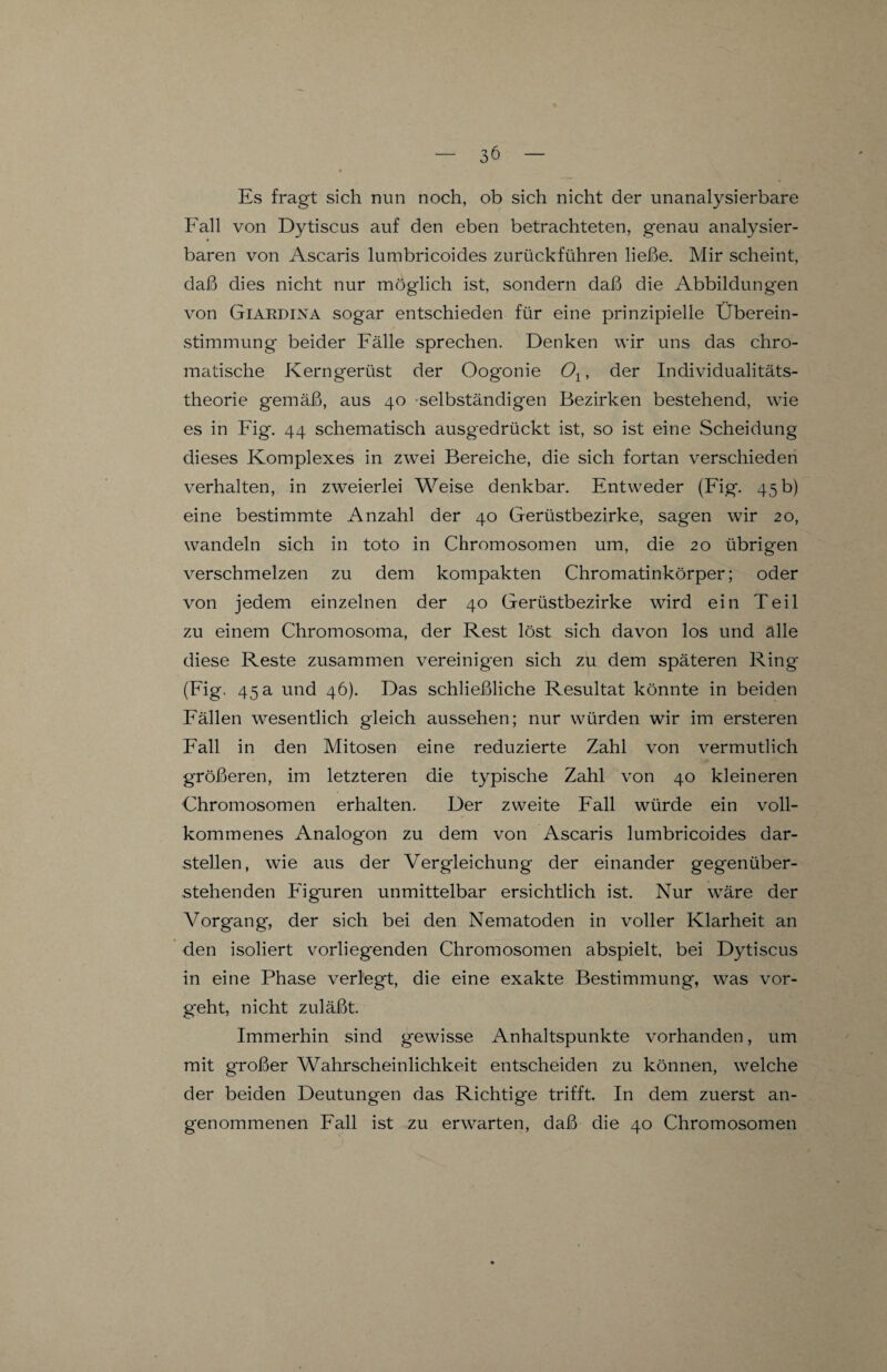 Es fragt sich nun noch, ob sich nicht der unanalysierbare Fall von Dytiscus auf den eben betrachteten, genau analysier- baren von Ascaris lumbricoides zurückführen ließe. Mir scheint, daß dies nicht nur möglich ist, sondern daß die Abbildungen von Giakdina sogar entschieden für eine prinzipielle Überein¬ stimmung beider Fälle sprechen. Denken wir uns das chro¬ matische Kerngerüst der Oogonie Ol, der Individualitäts¬ theorie gemäß, aus 40 selbständigen Bezirken bestehend, wie es in Fig. 44 schematisch ausgedrückt ist, so ist eine Scheidung dieses Komplexes in zwei Bereiche, die sich fortan verschieden verhalten, in zweierlei Weise denkbar. Entweder (Fig. 45 b) eine bestimmte Anzahl der 40 Gerüstbezirke, sagen wir 20, wandeln sich in toto in Chromosomen um, die 20 übrigen verschmelzen zu dem kompakten Chromatinkörper; oder von jedem einzelnen der 40 Gerüstbezirke wird ein Teil zu einem Chromosoma, der Rest löst sich davon los und alle diese Reste zusammen vereinigen sich zu dem späteren Ring (Fig. 45 a und 46). Das schließliche Resultat könnte in beiden Fällen wesentlich gleich aussehen; nur würden wir im ersteren Fall in den Mitosen eine reduzierte Zahl von vermutlich größeren, im letzteren die typische Zahl von 40 kleineren Chromosomen erhalten. Der zweite Fall würde ein voll¬ kommenes Analogon zu dem von Ascaris lumbricoides dar¬ stellen, wie aus der Vergleichung der einander gegenüber¬ stehenden Figuren unmittelbar ersichtlich ist. Nur wäre der Vorgang, der sich bei den Nematoden in voller Klarheit an den isoliert vorliegenden Chromosomen abspielt, bei Dytiscus in eine Phase verlegt, die eine exakte Bestimmung, was vor¬ geht, nicht zuläßt. Immerhin sind gewisse Anhaltspunkte vorhanden, um mit großer Wahrscheinlichkeit entscheiden zu können, welche der beiden Deutungen das Richtige trifft. In dem zuerst an¬ genommenen Fall ist zu erwarten, daß die 40 Chromosomen