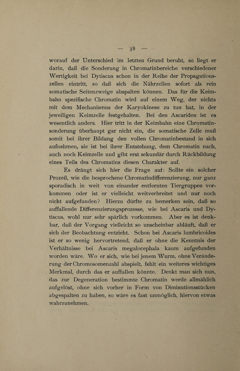 worauf der Unterschied im letzten Grund beruht, so liegt er darin, daß die Sonderung in Chromatinbereiche verschiedener Wertigkeit bei Dytiscus schon in der Reihe der Propagations¬ zellen eintritt, so daß sich die Nährzellen sofort als rein somatische Seitenzweige abspalten können. Das für die Keim¬ bahn spezifische Chromatin wird auf einem Weg, der nichts mit dem Mechanismus der Karyokinese zu tun hat, in der jeweiligen Keimzelle festgehalten. Bei den Ascariden ist es wesentlich anders. Hier tritt in der Keimbahn eine Chromatin¬ sonderung überhaupt gar nicht ein, die somatische Zelle muß somit bei ihrer Bildung den vollen Chromatinbestand in sich aufnehmen, sie ist bei ihrer Entstehung, dem Chromatin nach, auch noch Keimzelle und gibt erst sekundär durch Rückbildung eines Teils des Chromatins diesen Charakter auf. Es drängt sich hier die Frage auf: Sollte ein solcher Prozeß, wie die besprochene Chromatindifferenzierung, nur ganz sporadisch in weit von einander entfernten Tiergruppen Vor¬ kommen oder ist er vielleicht weitverbreitet und nur noch nicht aufgefunden? Hierzu dürfte zu bemerken sein, daß so auffallende Differenzierungsprozesse, wie bei Ascaris und Dy¬ tiscus, wohl nur sehr spärlich Vorkommen. Aber es ist denk¬ bar, daß der Vorgang vielleicht so unscheinbar abläuft, daß er sich der Beobachtung entzieht. Schon bei Ascaris lumbricoides ist er so wenig hervortretend, daß er ohne die Kenntnis der Verhältnisse bei Ascaris megalocephala kaum aufgefunden worden wäre. Wo er sich, wie bei jenem Wurm, ohne Verände¬ rung der Chromosomenzahl abspielt, fehlt ein weiteres wichtiges Merkmal, durch das er auffallen könnte. Denkt man sich nun, das zur Degeneration bestimmte Chromatin werde allmählich aufgelöst, ohne sich vorher in Form von Diminutionsstücken abgespalten zu haben, so wäre es fast unmöglich, hiervon etwas wahrzunehmen.