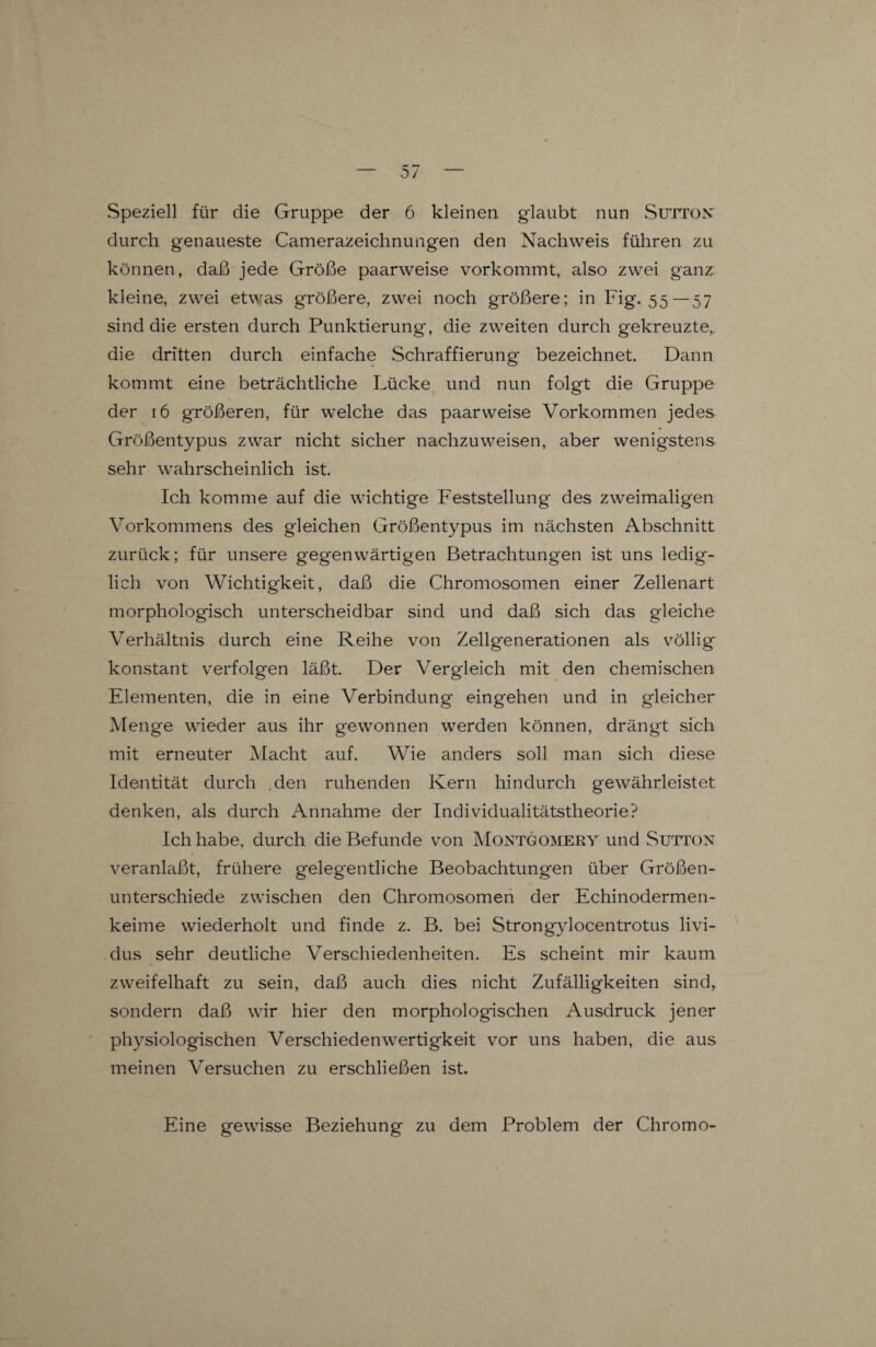 — ^7 0/ Speziell für die Gruppe der 6 kleinen glaubt nun Suttont durch genaueste Camerazeichnungen den Nachweis führen zu können, daß jede Größe paarweise vorkommt, also zwei ganz kleine, zwei etwas größere, zwei noch größere; in Fig. 55—57 sind die ersten durch Punktierung, die zweiten durch gekreuzte, die dritten durch einfache Schraffierung bezeichnet. Dann kommt eine beträchtliche Lücke und nun folgt die Gruppe der 16 größeren, für welche das paarweise Vorkommen jedes Größentypus zwar nicht sicher nachzuweisen, aber wenigstens sehr wahrscheinlich ist. Ich komme auf die wichtige Feststellung des zweimaligen Vorkommens des gleichen Größentypus im nächsten Abschnitt zurück; für unsere gegenwärtigen Betrachtungen ist uns ledig¬ lich von Wichtigkeit, daß die Chromosomen einer Zellenart morphologisch unterscheidbar sind und daß sich das gleiche Verhältnis durch eine Reihe von Zellgenerationen als völlig konstant verfolgen läßt. Der Vergleich mit den chemischen Elementen, die in eine Verbindung eingehen und in gleicher Menge wieder aus ihr gewonnen werden können, drängt sich mit erneuter Macht auf. Wie anders soll man sich diese Identität durch .den ruhenden Kern hindurch gewährleistet denken, als durch Annahme der Individualitätstheorie? Ich habe, durch die Befunde von Montgomery und Sutton veranlaßt, frühere gelegentliche Beobachtungen über Größen¬ unterschiede zwischen den Chromosomen der Echinodermen- keime wiederholt und finde z. B. bei Strongylocentrotus livi- dus sehr deutliche Verschiedenheiten. Es scheint mir kaum zweifelhaft zu sein, daß auch dies nicht Zufälligkeiten sind, sondern daß wir hier den morphologischen Ausdruck jener physiologischen Verschieden Wertigkeit vor uns haben, die aus meinen Versuchen zu erschließen ist. Eine gewisse Beziehung zu dem Problem der Chromo-