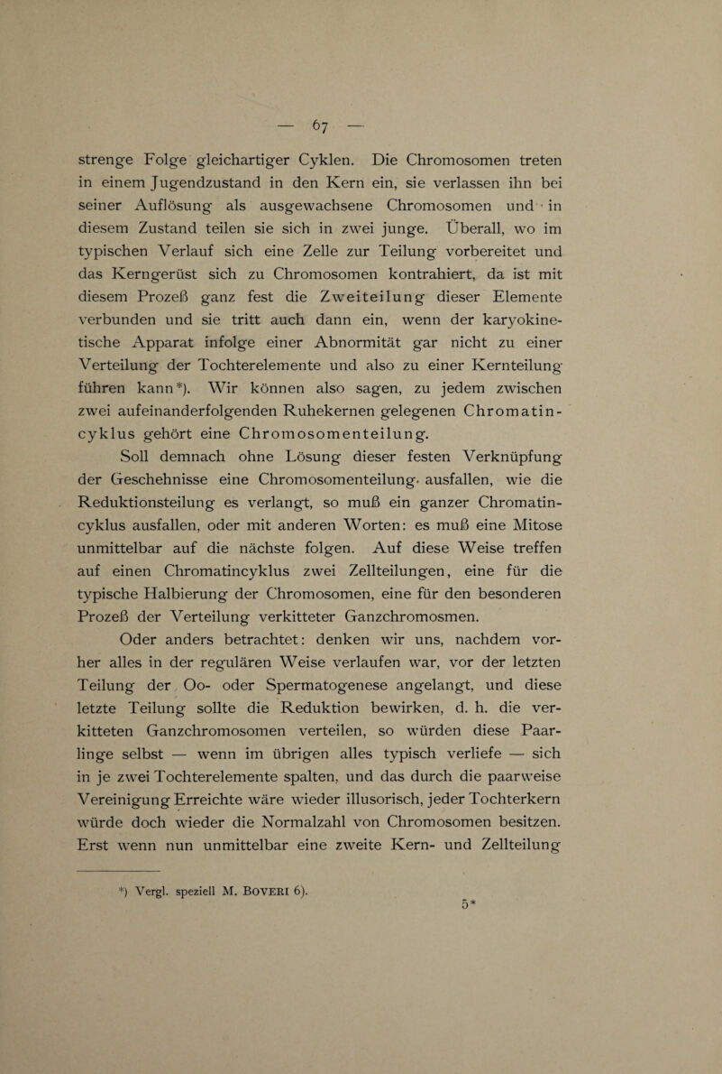 strenge Folge gleichartiger Cyklen. Die Chromosomen treten in einem Jugendzustand in den Kern ein, sie verlassen ihn bei seiner Auflösung als ausgewachsene Chromosomen und • in diesem Zustand teilen sie sich in zwei junge. Überall, wo im typischen Verlauf sich eine Zelle zur Teilung vorbereitet und das Kerngerüst sich zu Chromosomen kontrahiert, da ist mit diesem Prozeß ganz fest die Zweiteilung dieser Elemente verbunden und sie tritt auch dann ein, wenn der karyokine- tische Apparat infolge einer Abnormität gar nicht zu einer Verteilung der Tochterelemente und also zu einer Kernteilung führen kann*). Wir können also sagen, zu jedem zwischen zwei aufeinanderfolgenden Ruhekernen gelegenen Chrom atin- cyklus gehört eine Chromosomenteilung. Soll demnach ohne Lösung dieser festen Verknüpfung der Geschehnisse eine Chromosomenteilung, ausfallen, wie die Reduktionsteilung es verlangt, so muß ein ganzer Chromatin- cyklus ausfallen, oder mit anderen Worten: es muß eine Mitose unmittelbar auf die nächste folgen. Auf diese Weise treffen auf einen Chromatincyklus zwei Zellteilungen, eine für die typische Halbierung der Chromosomen, eine für den besonderen Prozeß der Verteilung verkitteter Ganzchromosmen. Oder anders betrachtet: denken wir uns, nachdem vor¬ her alles in der regulären Weise verlaufen war, vor der letzten Teilung der Oo- oder Spermatogenese angelangt, und diese letzte Teilung sollte die Reduktion bewirken, d. h. die ver¬ kitteten Ganzchromosomen verteilen, so würden diese Paar¬ linge selbst — wenn im übrigen alles typisch verliefe — sich in je zwei Tochterelemente spalten, und das durch die paarweise Vereinigung Erreichte wäre wieder illusorisch, jeder Tochterkern würde doch wieder die Normalzahl von Chromosomen besitzen. Erst wenn nun unmittelbar eine zweite Kern- und Zellteilung *) Yergl. speziell M. BOVERI 6). 5*