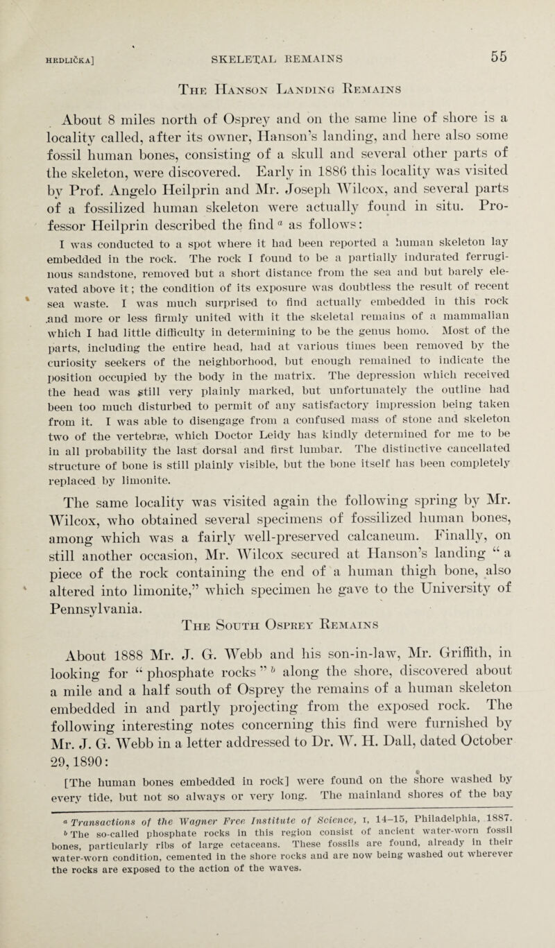 The Hanson Landing Remains About 8 miles north of Osprey and on the same line of shore is a locality called, after its owner, Hanson’s landing, and here also some fossil human bones, consisting of a skull and several other parts of the skeleton, were discovered. Early in 188G this locality was visited by Prof. Angelo Heilprin and Mr. Joseph Wilcox, and several parts of a fossilized human skeleton were actually found in situ. Pro¬ fessor Heilprin described the find a as follows: I was conducted to a spot where it had been reported a human skeleton lay embedded in the rock. The rock I found to he a partially indurated ferrugi¬ nous sandstone, removed but a short distance from the sea and but barely ele¬ vated above it; the condition of its exposure was doubtless the result of recent sea wraste. I was much surprised to find actually embedded in this rock .and more or less firmly united with it the skeletal remains of a mammalian which I had little difficulty in determining to be the genus homo. Most of the parts, including the entire head, had at various times been removed by the curiosity seekers of the neighborhood, but enough remained to indicate the position occupied by the body in the matrix. The depression which received the head was still very plainly marked, but unfortunately the outline had been too much disturbed to permit of any satisfactory impression being taken from it. I was able to disengage from a confused mass of stone and skeleton two of the vertebrae, which Doctor Leidy has kindly determined for me to be in all probability the last dorsal and first lumbar. The distinctive cancellated structure of bone is still plainly visible, but the bone itself has been completely replaced by limonite. The same locality was visited again the following spring by Mr. Wilcox, who obtained several specimens of fossilized human bones, among which was a fairly well-preserved calcaneum. Finally, on still another occasion, Mr. Wilcox secured at Hanson’s landing u a piece of the rock containing the end of a human thigh bone, also altered into limonite,” which specimen he gave to the University of Pennsylvania. The South Osprey Remains About 1888 Mr. J. G. Webb and his son-in-law, Mr. Griffith, in looking for “ phosphate rocks ” h along the shore, discovered about a mile and a half south of Osprey the remains of a human skeleton embedded in and partly projecting from the exposed rock. The following interesting notes concerning this find were furnished by Mr. J. G. Webb in a letter addressed to Dr. W. Id. Dali, dated October 29,1890: [The human bones embedded in rock] were found on the shore washed by every tide, but not so always or very long. The mainland shores of the bay ° Transactions of the Wagner Free Institute of Science, i, 14—15, Philadelphia, 1SS7. i The so-called phosphate rocks in this region consist of ancient water-worn fossil bones, particularly ribs of large cetaceans. These fossils are found, already in tlieii water-worn condition, cemented in the shore rocks and are now being washed out wherever the rocks are exposed to the action of the waves.