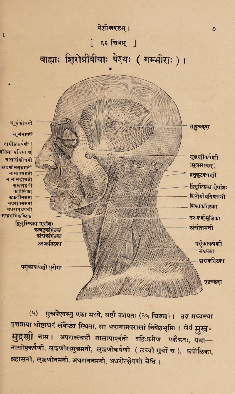 'S 5nUT: [ ** fa** ] ) | ^JFPTfT^ S^WT qf%?T[ msT^hrMt gp^ ^rrar^fT^t ^rrare^sft qrqtf^rqn wtrrfq^ (*P*TT3*0 fg^fi^T ymw. faq^feqsT qsfamqft *?£W (rA) WT $rq| s^Rct: (^ | ^ n>areqnr ItTOrt sngrvR femr, 3?£Rmq?TOT foifciqjfif: i ij^f- 5^^ I STOTScqsl ?TOTqTIRcTT qf|:^Tir q^TT— q^ft^s^rwV, ^nrWtjfir (asft ggf ^ ), ^qtfe^T) stvrctc^mift itfr i
