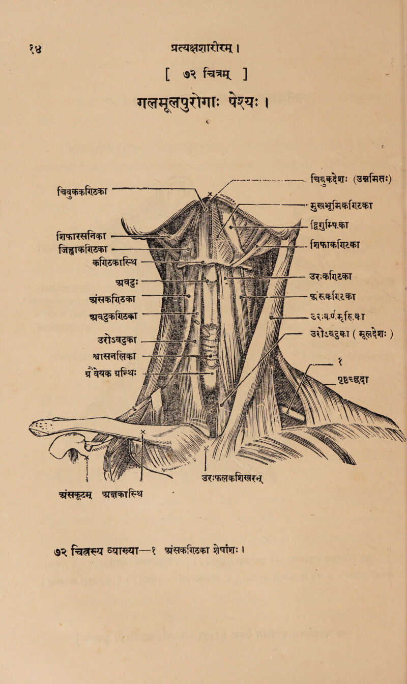 [ ] Mm I c faa$!$fe'Pf ftmwfeT fsffrafc^T fq^if.STf: (gsfaw) JpajfrefifceST ‘^RFStfcsJ 19^ —X 3T»*fifepT Tl'TOr: I