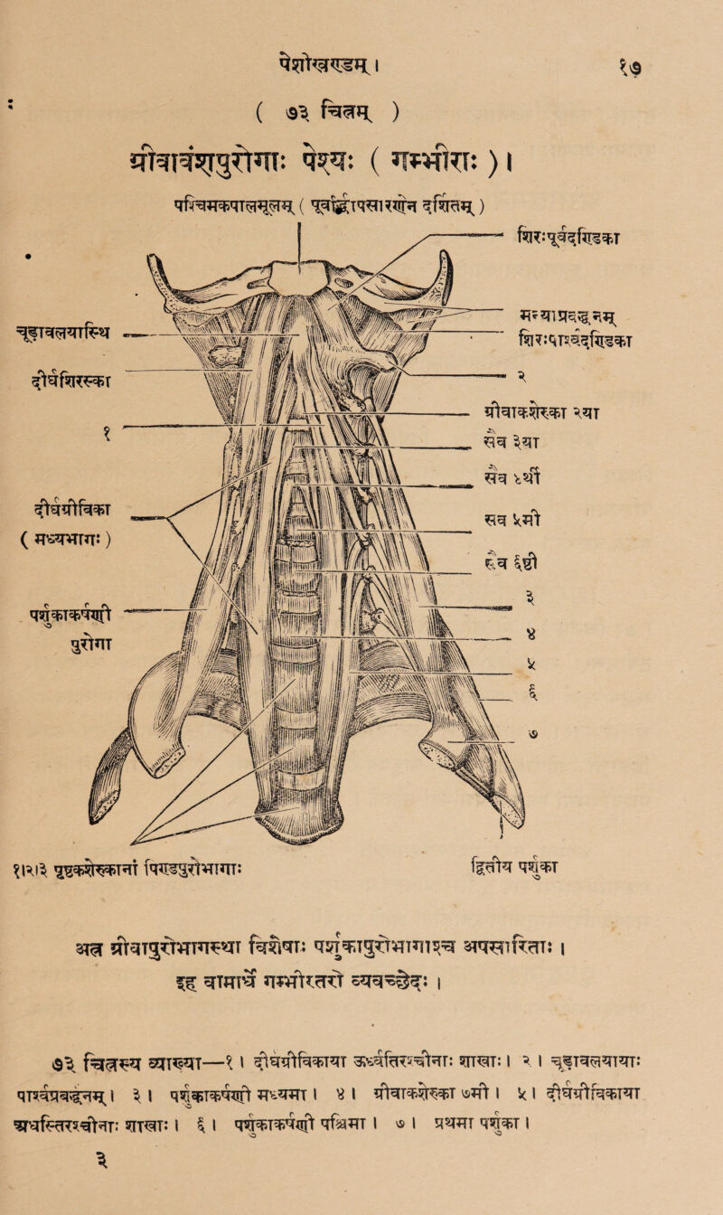 • • ( Bsmni:) qsNraWt a^tfu ^7lt»w?rsq i ( ^ fasn^ ) sffai^rg^n: q^r: ( wfm:) i qfira^qra^st. ( 'jjtig’rwwiN ^feq.) K<$ ftv^few ^cj \m rs. qq mi *m kzrt l\V\ ft^^vrTTTT: ferta qsfiqq ^ ntaijdwmwT femn q^T3*mTTnT^ anroifen: i S5 W trortard sqq^f^: I OB SETT^qT—\ \ fiWtfaqqqT ^qfa^qfar: ^T^T: I B I ^Tq^qjqT: qTsqqq^i^ I ^ I qj£ q>T$qXift *TV-*WT I I sftqT$*N$T I i( I Srqferesqfar: Src^T: i i l q^ET^uft qfkxn I vs 1 qqqi qSjW I \