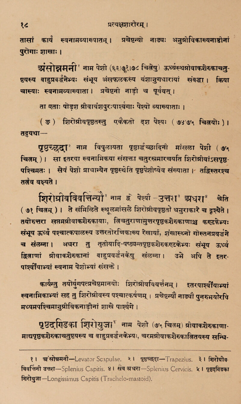 \<c i ?TTHf q>iq i q%irqt ^r^r: •sTgqtfqq;Tc<q?n'?t?ri' gdnT: ijmsu: i wr?m?rL «ttr ayft (^sj^i®<£ fesrg) qq*a qTgqqvsRiw ^‘•*J5 qyngq^Tmr g'q^T i fem =grem: ^eprmsqreqraT i a%s^t srift =sr gqqg^ i m qm: qtfsq sftqTqsrg^qrsqnr: ^rr sqmrm: i ( ^ ) ftidsftqgsrreg q&Km stst ^t: ( fasrqT:) i a^«tr— ^5^3[T *rw fej^racTT ggra^f^ft m?rar ^ fasiH) i stt ?^r ^qqimw srsra5T gg^im^qfa fodatafs^s- qfjR=ro<T: i §q amu^r g^sifa ggarfraa *mmT i afk^cr^qr sria a^a?J i at ^ar-3rW? wW %f?r ( f^a.) I f* srfaf^t fsrdateggat srg^Tqrft ^ i aat^run' smaaVaTawreqaaT:, faagRT^Trcggqrifoqatm^ q^st&qs sn^a 3^ a^rcfapKm ^iaf, yr^eat ataaaaasft =a i sran g ga^aifa-q^Riggqiinawqtea: *is$q s^a fac^rrarr atarq^taqaai ariaa^#;*! ^fe«rr i aft srfq ?t *at- qT^afareaf ^aaia ftsrteai <=rer^ i aaa?g aataaqcaftaaraaT: %datafaa^at^ i ScrcaT^afarvaf ^aarfftaasaf e? g fsqrra'terea q^Tc^q^n i a%g?at areal gaaaa'frfq gsaaqf^aargalfaaiaTflaT qis-m i ferftg3nT ara qyft fa feaq) a^wli^TTni- ^ *n%sndN#&*n, \ I ^TSTteflRft—Levator Scapulae. k I —Trapezius. ^ I ftrcfafta- 3tRT—Splenius Capitis. ^ I OT ^T^RT—Splenius Cervicis. k I fiKt^STT—Longissimus Capitis (Trachelo-mastoid).