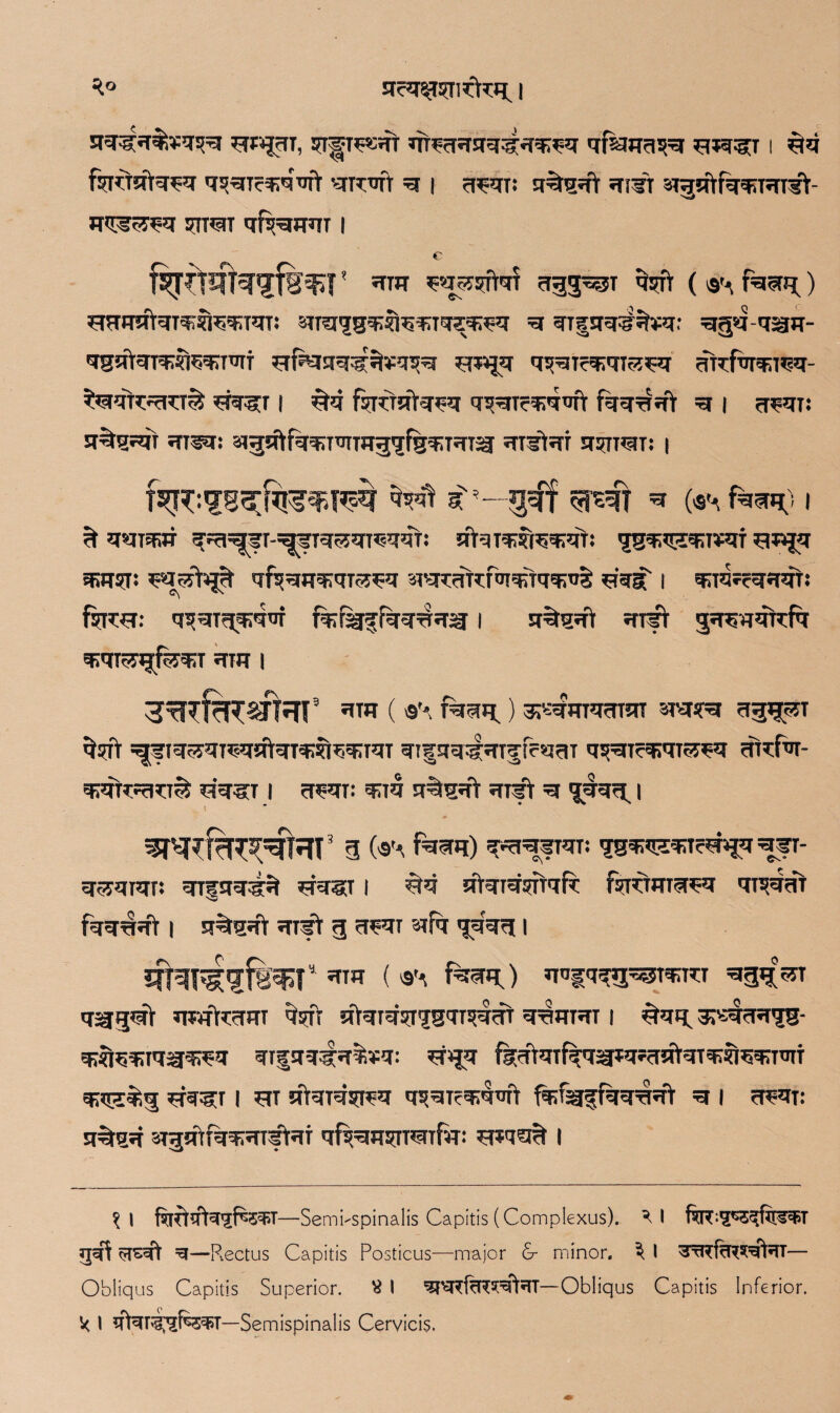 Stq3Cq$¥q?q ST^T^JTT qT^qqqqtgqq^q qfaWq^T q;?fT I #tq fqrctatq^q qsqTc^qqft vqrcTjft g I ?j^qr: q^qsft ^ arcjiftfqqiTqT^:- 37T?3T qf^qqT I C fcjdjfcnjf&^T' hto ^^srftqT qggqgT faqi^) ^fqmftqiqiSreqqqTi siraigqjfrcqqqsq^q =q qTj|qq:qfft:q: =qjjq-q^iT- qsateTqwteqq^i efemqtgrjfrqqq qqqi?q;qi55sq qftfarqrqsq- ^qtorTCT^ ’qq^r | ^q %djftq?q qsqTc^qift fqqqqt =q | q^qi: q%qfqi qreq; sfljJsftfqqimTOg’lfgqqqTSJ qistai srqrraT: | M qf^T * (^ fesntf i ^ qqrqsr ^^fi-^fTqgqr^qqT; q^qmiqqjq't: ?s^q?q>i¥qf sq^jq srtst: qfqgqqjqT^q 3H*rcqftflJiqft»TO»it ^qg | qqqf?qqqT: frrOT: q^qTqqjqnf f%%ffqq^q^ | q%qqi qr?> gq^qqrcfq qrarsrijfeq:! qra i 3^rcf^frn9 qm ( &•. feqi^) ^:qmq?nqT srnsra qgq^T ^fiq^qiqqjftqT^qtqqjrqT qtgqqtgqTf fcqqr qs^Tc^qi^^q qftfar- ^qrT^TT^ ?iqg-T | q^qi: qqq q%iqt qrft =q >jqqg | g («q, fqqq) qvqqfTqT: ssqasssrcwjq ^JT- q^qiqr: qTjqq^ #?3T I ^q qtqiqsftqf?: fsTdqiq^q qiqqqt fqqqqt | qitgqfr qift jj q*qt stfq <jqqq I *nn ( f^renO qnfq^3^T^m qggiq> qiq^qqr qsfr q>qiq!qqgqT3qqt qqJTiqi I *Tqq. ^vsqqq^- q?|jqq:Tq^rq^q qr?|qq:gq%¥q: *r>|q f^qTfqq^q?q?ftqTq;inqq;T’nT ^q?%3 jqq^r 1 stt qtqTqsr^q qqqr?q;qqft fwsjqfqqqqt g 1 q^qi: q%qq 3TjjqlrTqq:qTftqT qfsqRTTT^Tfvr: 3q?q?27f I ?l fq^tsftq’jBS'ET—-Semi'Spinalis Capitis (Complexus). ^1 fqr^^^fe^T ijqf qsqt q—Rectus Capitis Posticus—major 6- minor. e I qqtfiwqlqT— Obliqus Capitis Superior, i I qpsrcfq^q^qT— Obliqus Capitis Inferior. !< I rftqrq^fe^T—Semispinalis Cervicis.