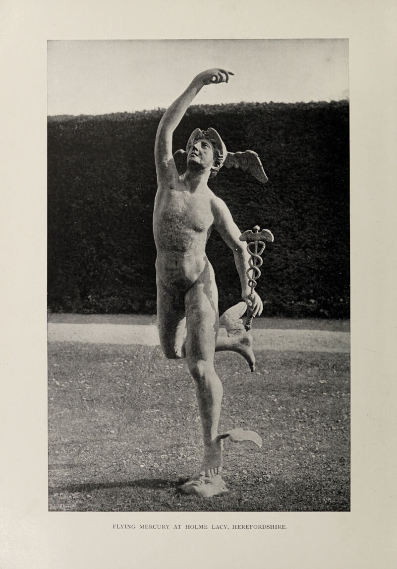 FLYING MERCURY AT HOLME LACY, HEREFORDSHIRE.