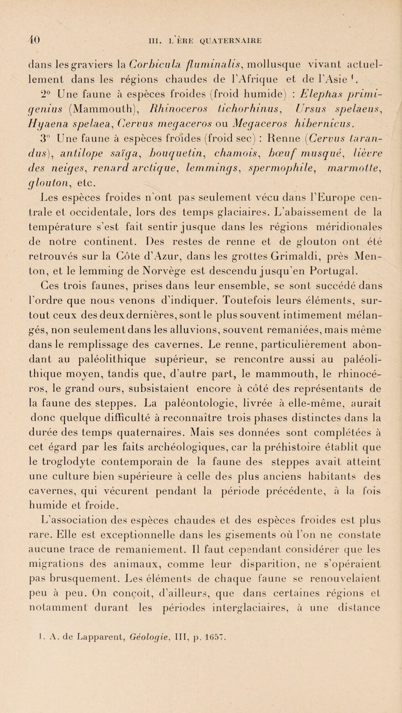 dans les graviers la Corbicula fluminalis, mollusque vivant actuel¬ lement dans les régions chaudes de l’Afrique et de l’Asie1. 2° Une faune à espèces froides (froid humide) : Elephas primi- genius (Mammouth), Rhinocéros tichorhinus, Ursus spelaeus, Hyaena spelaea, Cervus megaceros ou Megaceros hihernicus. 3° Une faune à espèces froides (froid sec) : Renne (Cervus taran- dus). antilope saïga, bouquetin, chamois, bœuf musqué, lièvre des neiges, renard arctique, lemmings, spermophile, marmotte, glouton, etc. Les espèces froides n'ont pas seulement vécu dans l’Europe cen¬ trale et occidentale, lors des temps glaciaires. L’abaissement de la température s’est fait sentir jusque dans les régions méridionales de notre continent. Des restes de renne et de glouton ont été retrouvés sur la Côte d’Azur, dans les grottes Grimaldi, près Men¬ ton, et le lemming de Norvège est descendu jusqu’en Portugal. Ces trois faunes, prises dans leur ensemble, se sont succédé dans l’ordre que nous venons d’indiquer. Toutefois leurs éléments, sur¬ tout ceux des deuxdernières, sont le plus souvent intimement mélan¬ gés, non seulement dans les alluvions, souvent remaniées, mais même dans le remplissage des cavernes. Le renne, particulièrement abon¬ dant au paléolithique supérieur, se rencontre aussi au paléoli¬ thique moyen, tandis que, d’autre part, le mammouth, le rhinocé¬ ros, le grand ours, subsistaient encore à côté des représentants de la faune des steppes. La paléontologie, livrée à elle-même, aurait donc quelque difficulté à reconnaître trois phases distinctes dans la durée des temps quaternaires. Mais ses données sont complétées à cet égard par les faits archéologiques, car la préhistoire établit que le troglodyte contemporain de la faune des steppes avait atteint une culture bien supérieure à celle des plus anciens habitants des cavernes, qui vécurent pendant la période précédente, à la fois humide et froide. L’association des espèces chaudes et des espèces froides est plus rare. Elle est exceptionnelle dans les gisements où l'on ne constate aucune trace de remaniement. Il faut cependant considérer que les migrations des animaux, comme leur disparition, ne s’opéraient pas brusquement. Les éléments de chaque faune se renouvelaient peu à peu. On conçoit, d’ailleurs, que dans certaines régions et notamment durant les périodes interglaciaires, à une distance I. A. de Lapparent, Géologie, III, p. 1657.