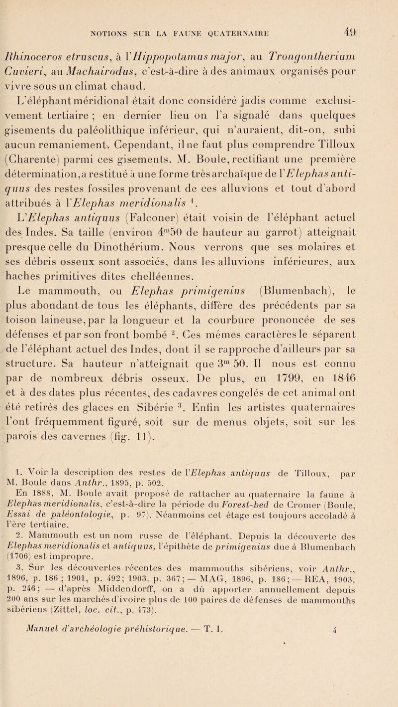 Rhinocéros etruscus, à Y Hippopotamus major, au Trongontherium Cuvieri, au Machairodus, c’est-à-dire à des animaux organisés pour vivre sous un climat chaud. L’éléphant méridional était donc considéré jadis comme exclusi¬ vement tertiaire ; en dernier lieu on l'a signalé dans quelques gisements du paléolithique inférieur, qui n’auraient, dit-on, subi aucun remaniement Cependant, due faut plus comprendre Tilloux (Charente) parmi ces gisements. M. Boule, rectifiant une première détermination,a restitué à une forme très archaïque de YElephas anti- quus des restes fossiles provenant de ces alluvions et tout d’abord attribués à Y Elephas nieridionalis L Y?Elephas antiquus (Falconer) était voisin de l’éléphant actuel des Indes. Sa taille (environ 4m50 de hauteur au garrot) atteignait presque celle du Dinothérium. Nous verrons que ses molaires et ses débris osseux sont associés, dans les alluvions inférieures, aux haches primitives dites chelléennes. Le mammouth, ou Elephas primigenius (Blumenbach), le plus abondant de tous les éléphants, diffère des précédents par sa toison laineuse, par la longueur et la courbure prononcée de ses défenses et par son front bombé 2. Ces mêmes caractères le séparent de l’éléphant actuel des Indes, dont il se rapproche d’ailleurs par sa structure. Sa hauteur n’atteignait que 3m 50. Il nous est connu par de nombreux débris osseux. De plus, en 1799, en 1846 et à des dates plus récentes, des cadavres congelés de cet anima] ont été retirés des glaces en Sibérie 3. Enfin les artistes quaternaires l’ont fréquemment figuré, soit sur de menus objets, soit sur les parois des cavernes (fîg. 11 1. Voir la description des restes de Y Elephas antiquus de Tilloux, par M. Boule dans Anthr., 1895, p. 502. En 1888, M. Boule avait proposé de rattacher au quaternaire la faune à Elephas meridionalis, c’est-à-dire la période du Forest-bed de Cromer (Boule, Essai de paléontologie, p. 97). Néanmoins cet étage est toujours accolade à hère tertiaire. 2. Mammouth est un nom russe de l’éléphant. Depuis la découverte des Elephas meridionalis et antiquus, l’épithète de primigenius due à Blumenbach (1706) est impropre. 3. Sur les découvertes récentes des mammouths sibériens, voir Anthr., 1896, p. 186; 1901, p. 492; 1903, p. 367 ; — MAG, 1896, p. 186; —REA, 1903, p. 246; — d’après Middendorff, on a dû apporter annuellement depuis 200 ans sur les marchés d’ivoire plus de 100 paires de défenses de mammouths sibériens (Zittel, loc. cit., p. 473). Manuel d'archéologie préhistorique. — T. I. 4