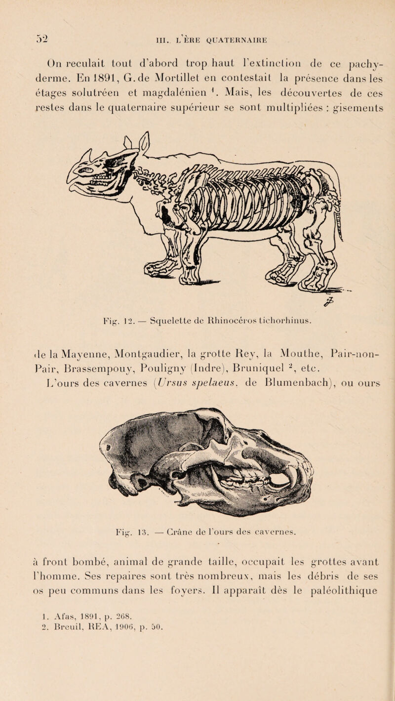 On reculait tout d’abord trop haut l'extinction de ce pachy¬ derme. En 1891, G. de Mortillet en contestait la présence dans les étages solutréen et magdalénien h Mais, les découvertes de ces restes dans le quaternaire supérieur se sont multipliées : gisements Fig. 12. — Squelette de Rhinocéros tichorhinus. de la Mayenne, Montgaudier, la grotte Rey, la Mouthe, Pair-non- Pair, Brassempouy, Pouligny (Indre), Bruniquel 1 2, etc. L’ours des cavernes (Ursus spelaeus. de Blumenbach), ou ours Fig. 13. — Crâne de Fours des cavernes. à front bombé, animal de grande taille, occupait les grottes avant l’homme. Ses repaires sont très nombreux, mais les débris de ses os peu communs dans les foyers. Il apparaît dès le paléolithique 1. A tas, 1891, p. 268. 2. Breuil, REA, 1906, p. 50.