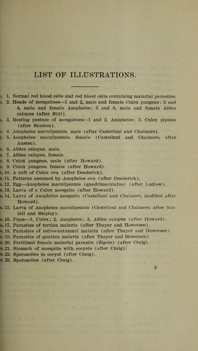 digitised image 3