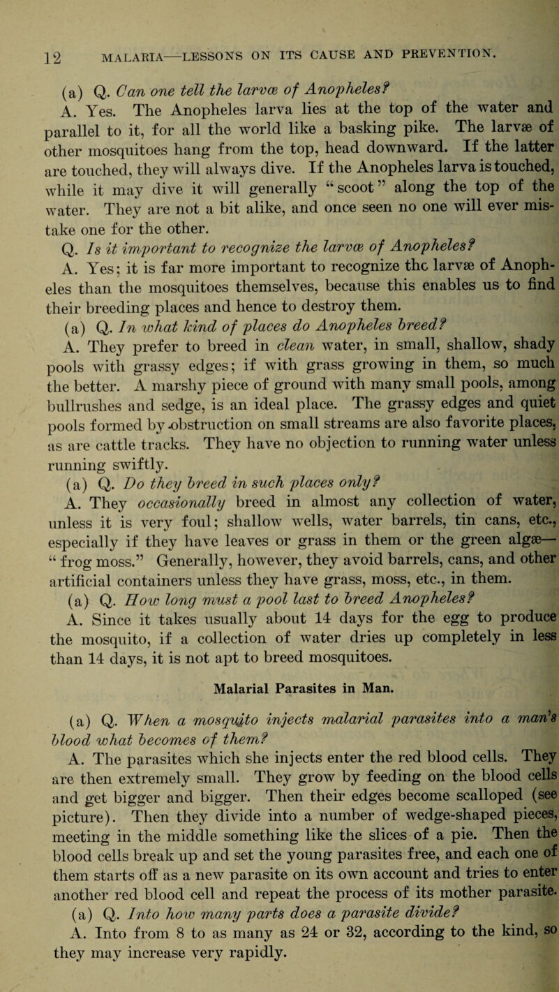 (a) Q. Can one tell the larvae of Anopheles? A. Yes. The Anopheles larva lies at the top of the water and parallel to it, for all the world like a basking pike. The larvae of other mosquitoes hang from the top, head downward. If the latter are touched, they will always dive. If the Anopheles larva is touched, while it may dive it will generally “scoot” along the top of the water. They are not a bit alike, and once seen no one will ever mis¬ take one for the other. Q. Is it important to recognize the larvce of Anopheles ? A. Yes; it is far more important to recognize the larvae of Anoph¬ eles than the mosquitoes themselves, because this enables us to find their breeding places and hence to destroy them. (a) Q. In what hind of places do Anopheles breed? A. They prefer to breed in clean water, in small, shallow, shady pools with grassy edges; if with grass growing in them, so much the better. A marshy piece of ground with many small pools, among bullrushes and sedge, is an ideal place. The grassy edges and quiet pools formed by obstruction on small streams are also favorite places, as are cattle tracks. They have no objection to running water unless running swiftly. (a) Q. Bo they breed in such places only? A. They occasionally breed in almost any collection of water, unless it is very foul; shallow wells, water barrels, tin cans, etc., especially if they have leaves or grass in them or the green algae— “ frog moss.” Generally, however, they avoid barrels, cans, and other artificial containers unless they have grass, moss, etc., in them. (a) Q. How long must a pool last to breed Anopheles? A. Since it takes usually about 14 days for the egg to produce the mosquito, if a collection of water dries up completely in less than 14 days, it is not apt to breed mosquitoes. Malarial Parasites in Man. (a) Q. When a mosquito injects malarial parasites into a man’s blood what becomes of them? A. The parasites which she injects enter the red blood cells. They are then extremely small. They grow by feeding on the blood cells and get bigger and bigger. Then their edges become scalloped (see picture). Then they divide into a number of wedge-shaped pieces, meeting in the middle something like the slices of a pie. Then the blood cells break up and set the young parasites free, and each one of them starts off as a new parasite on its own account and tries to enter another red blood cell and repeat the process of its mother parasite. (a) Q. Into how many parts does a parasite divide? A. Into from 8 to as many as 24 or 32, according to the kind, so they may increase very rapidly.