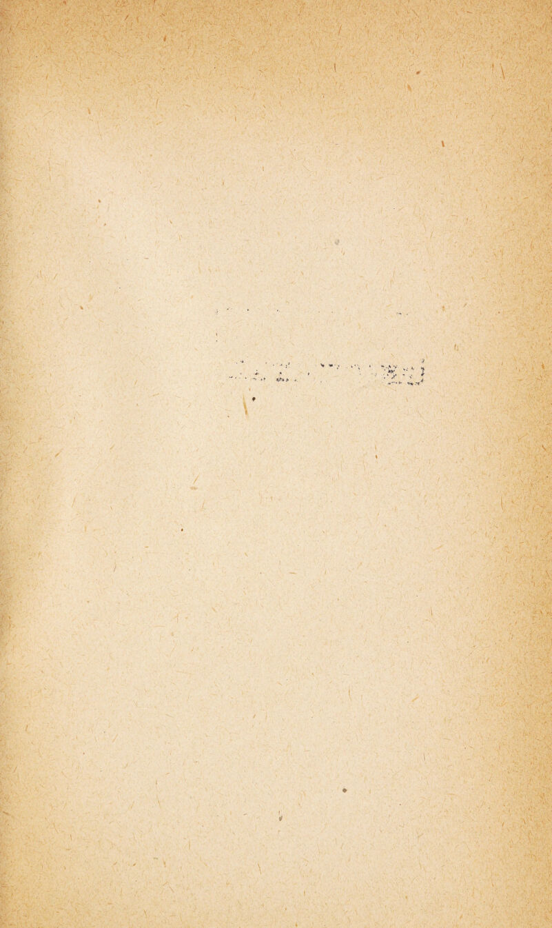 • . : w vc'\  i 'M, ' y. I ' y y . • • ’ ' V ; * . • V ; >• ' • \ . V- \ , - ■ ' V, , ' ' ' 1 -K ‘ ■ . r — < 'yik ■ ■ . V. 7, / > . ii • ■ 7v •• ' K ' • \.ï' y ' vv / '<■ ’ V f:; / S',.- - ' I • ■ > • ■;/ :\ i: V / . \ \ -( I ■' > :1 ' -T ! .. . , ■ k » •• * V # '! ' a. . ,,, wÿ>m • i.’ ' .i. •< - - rs \ » ; i . - . ■ -m • ••• -••'.ru'i.. ' ;• : 4. . - s.i 77^7$ •Cv Jï , >; y ? à V ' ■ A «**»■*• *.S» .T* /-.^vv- ’ V .'-y y, ’V-vA-^ >■ Vv ïiv ■, r.-y. yM ! - 7 / >- ' r ; , . r ? \ ,■< * v -'77- ■ v ' ■ - ; ■ 4 ■ ■ i y ■N v V f  :«V ' . Ü y y : 4 ' i ,:'44 , ■,yy • '-1 y- * ■■ ‘ ' \< {4 ;}) •y- : 1 ^yy.° v. , , .■ v-»'A .-V'; 1 , A '1 s ' (. ■ ,V- an -7 m- ■'.v - r-.\i . ' !è v - ■ • ’42>- ■ i 'y-y.-- ■ yty# • • . '4 ?,> .7 i