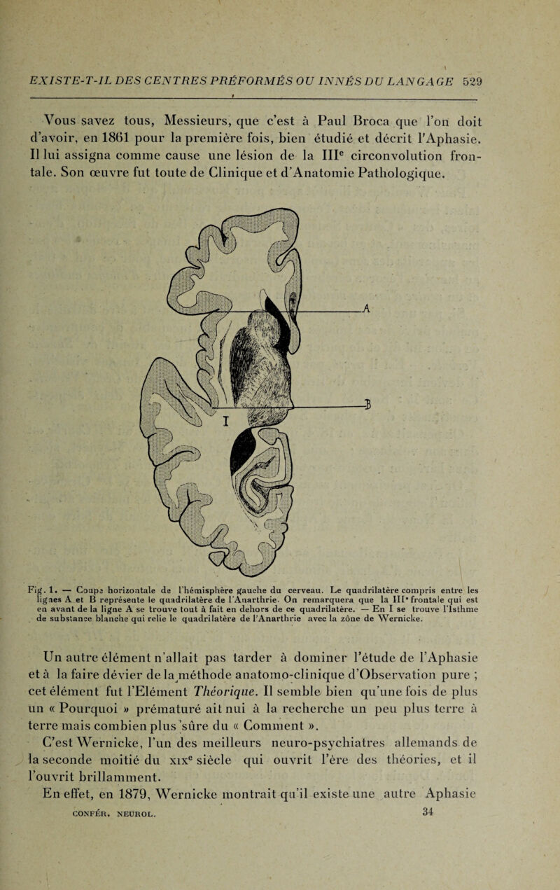 Vous savez tous, Messieurs, que c’est à Paul Broca que l’on doit d’avoir, en 1861 pour la première fois, bien étudié et décrit l’Aphasie. Il lui assigna comme cause une lésion de la IIIe circonvolution fron¬ tale. Son œuvre fut toute de Clinique et d’Anatomie Pathologique. Fig. 1. — Coupa horizontale de l'hémisphère gauche du cerveau. Le quadrilatère compris entre les lignes A et B représente le quadrilatère de l’Anarthrie- On remarquera que la IIIe frontale qui est en avant de la ligne A se trouve tout à fait en dehors de ce quadrilatère. — En I se trouve l'Isthme de substance blanche qui relie le quadrilatère de l’Anarthrie avec la zone de Wernicke. Un autre élément n’allait pas tarder à dominer l’étude de l’Aphasie et à la faire dévier de la méthode anatomo-clinique d’Observation pure ; cet élément fut l’Elément Théorique. Il semble bien qu’une fois de plus un « Pourquoi » prématuré ait nui à la recherche un peu plus terre à terre mais combien plus sûre du « Comment ». C’est Wernicke, l’un des meilleurs neuro-psychiatres allemands de la seconde moitié du xixe siècle qui ouvrit l’ère des théories, et il l’ouvrit brillamment. En effet, en 1879, Wernicke montrait qu’il existe une autre Aphasie CONFÉR. NEUROL. 34