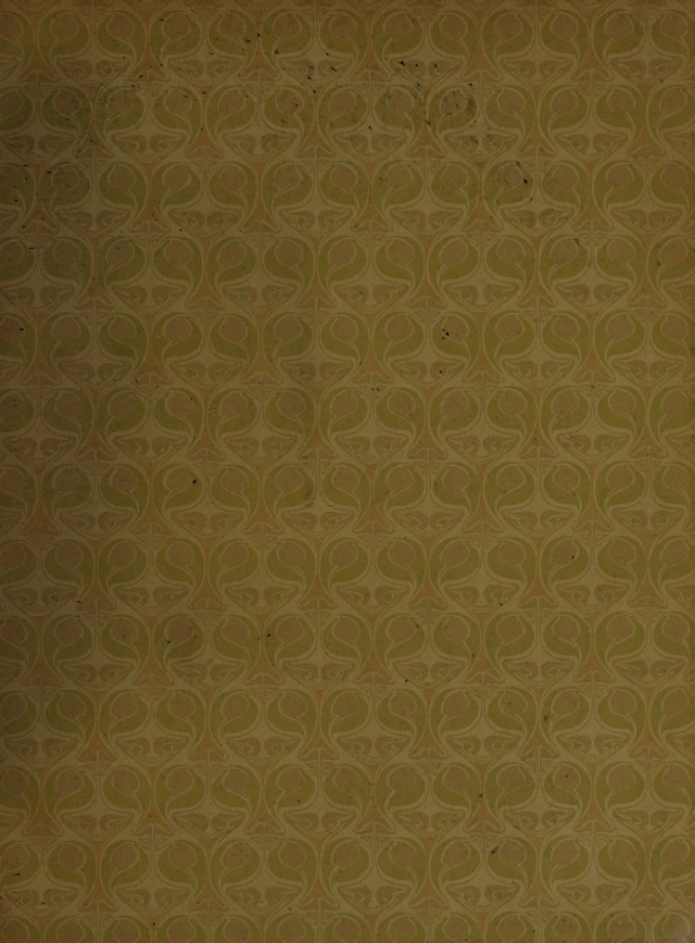digitised image 3