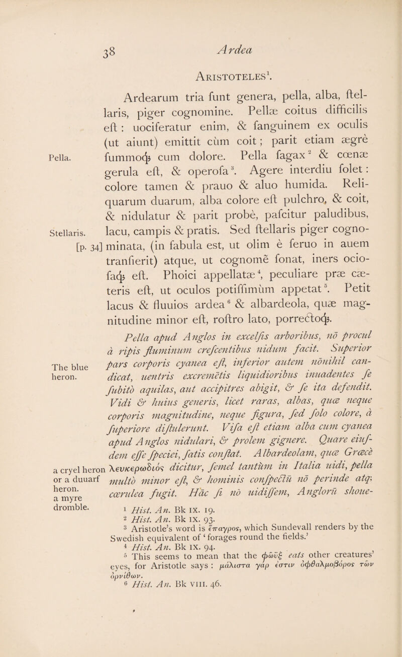 3» Aristoteles^ Ardearum tria funt genera, pella, alba, ftel- laris, piger cognomine. Pellse coitus difficilis efl : uociferatur enim, & fanguinem ex oculis (ut aiunt) emittit cum coit; parit etiam segre Pella. fummocj^ cum dolore. Pella fagax & coenae gerula eft, & operofa l Agere interdiu folet: colore tamen & prauo & aluo humida. Reli¬ quarum duarum, alba colore efh pulchro, & coit, & nidulatur & parit probe, pafcitur paludibus. Stellaris. lacu, campis & pratis. Sed ftellaris piger cogno- [p. 34] minata, (in fabula est, ut olim e feruo in auem tranfierit) atque, ut cognome fonat, iners ocio- fa45 eft. Phoici appellatae ^ peculiare pr^E cae- teris eft, ut oculos potiftimum appetat l Petit lacus & fluuios ardea' & albardeola, quae mag¬ nitudine minor eft, roftro lato, porre6lo43. The blue heron. a cryel heron or a duuarf heron, a myre dromble. Pella apud Anglos in excelfis arborihns, no proctd a ripis jiuininuni crefcentibns niduni facit. Superior pars corporis cyanea efl, inferior auteni nonihil can¬ dicat, uentris excremetis liquidioribus inuadentes fe fubito aquilas, aut accipitres abigit, & fe ita defendit. Vidi & huius generis, licet raras, albas, quce neque corporis magnitudine, neque figura, fed folo colore, a fuperiore difiulerunt. Vifa efl etiam alba cum cyanea apud Anglos nidulari, & prolem gignere. Quare eiuf- dem effe fpeciei, fatis confiat. Albardeolam, quce GrcEce \6VK€p(t)SL6^ dicitur, femel tantum in Italia uidi, pella multo minor efl, & hominis confpedlu no perinde atq\ ccerulea fugit. Hac fi no uidiffem, Angloru shoue- 1 Hist. An. Bk IX. 19. Hist. An. Bk ix. 93. ^ Aristotle’s word is erraypos, which Sundevall renders by the Swedish equivalent of ‘ forages round the fields.’ 4 Hist. An. Bk ix. 94. ^ This seems to mean that the (pcoii^ eats^ other creatures’ eyes, for Aristotle says : paXicrra yap iartv 6(f)6a\po^6pos rcov opvldcov.