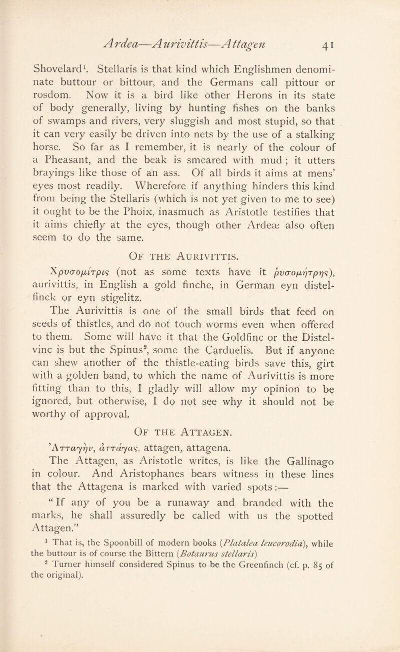 Shovelard^ Stellaris is that kind which Englishmen denomi¬ nate buttour or bittour, and the Germans call pittour or rosdom. Now it is a bird like other Herons in its state of body generally, living by hunting fishes on the banks of swamps and rivers, very sluggish and most stupid, so that it can very easily be driven into nets by the use of a stalking horse. So far as I remember, it is nearly of the colour of a Pheasant, and the beak is smeared with mud ; it utters brayings like those of an ass. Of all birds it aims at mens’ eyes most readily. Wherefore if anything hinders this kind from being the Stellaris (which is not yet given to me to see) it ought to be the Phoix, inasmuch as Aristotle testifies that it aims chiefly at the eyes, though other Ardeae also often seem to do the same. Of the Aurivittis. 'KpvaofMLTpt^ (not as some texts have it pvo-o/uiApV^)^ aurivittis, in English a gold finche, in German eyn distel- finck or eyn stigelitz. The Aurivittis is one of the small birds that feed on seeds of thistles, and do not touch worms even when offered to them. Some will have it that the Goldfinc or the Distel- vinc is but the Spinus^ some the Carduelis. But if anyone can shew another of the thistle-eating birds save this, girt with a golden band, to which the name of Aurivittis is more fitting than to this, I gladly will allow my opinion to be ignored, but otherwise, I do not see why it should not be worthy of approval. Of the Attagen. ^Arraypv, arra^a?, attagen, attagena. The Attagen, as Aristotle writes, is like the Gallinago in colour. And Aristophanes bears witness in these lines that the Attagena is marked with varied spots:— “ If any of you be a runaway and branded with the marks, he shall assuredly be called with us the spotted Attagen.” 1 That is, the Spoonbill of modern books {Platalea leucorodza)^ while the buttour is of course the Bittern {Botaurus stellaris) ^ Turner himself considered Spinus to be the Greenfinch (cf. p. 85 of the original).