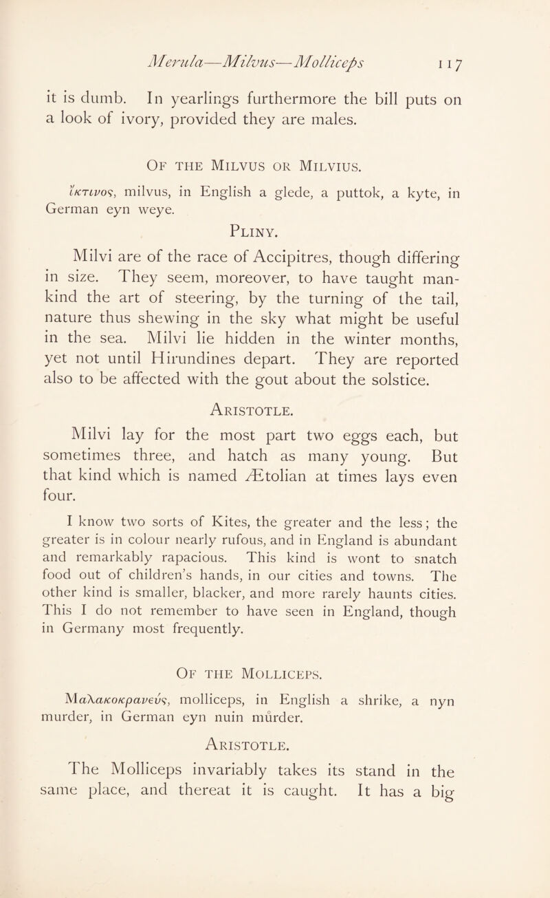 it is dumb. In yearlings furthermore the bill puts on a look of ivory, provided they are males. Of the Milvus or Milvius. tuTivo^, milvus, in English a glede, a puttok, a kyte, in German eyn weye. Pliny. Milvi are of the race of Accipitres, though differing in size. They seem, moreover, to have taught man¬ kind the art of steering, by the turning of the tail, nature thus shewing in the sky what might be useful in the sea. Milvi lie hidden in the winter months, yet not until Hirundines depart. They are reported also to be affected with the gout about the solstice. Aristotle. Milvi lay for the most part two eggs each, but sometimes three, and hatch as many young. But that kind which is named zEtolian at times lays even four. I know two sorts of Kites, the greater and the less; the greater is in colour nearly rufous, and in England is abundant and remarkably rapacious. This kind is wont to snatch food out of children’s hands, in our cities and towns. The other kind is smaller, blacker, and more rarely haunts cities. This I do not remember to have seen in England, though in Germany most frequently. Of the Molliceps. MaXaicoicpavev^i, molliceps, in English a shrike, a nyn murder, in German eyn nuin murder. Aristotle. The Molliceps invariably takes its stand in the same place, and thereat it is caught. It has a big