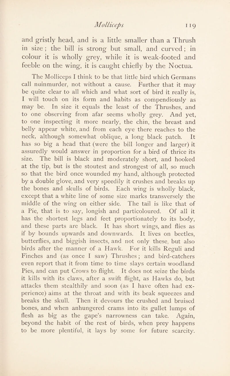 and gristly head, and is a little smaller than a Thrush in size ; the bill is strong but small, and curved ; in colour it is wholly grey, while it is weak-footed and feeble on the wing, it is caught chiefly by the Noctua. The Molliceps I think to be that little bird which Germans call nuinmurder, not without a cause. Further that it may be quite clear to all which and what sort of bird it really is, I will touch on its form and habits as compendiously as may be. In size it equals the least of the Thrushes, and to one observing from afar seems wholly grey. And yet, to one inspecting it more nearly, the chin, the breast and belly appear white, and from each eye there reaches to the neck, although somewhat oblique, a long black patch. It has so big a head that (were the bill longer and larger) it assuredly would answer in proportion for a bird of thrice its size. The bill is black and moderately short, and hooked at the tip, but is the stoutest and strongest of all, so much so that the bird once wounded my hand, although protected by a double glove, and very speedily it crushes and breaks up the bones and skulls of birds. Each wing is wholly black, except that a white line of some size marks transversely the middle of the wing on either side. The tail is like that of a Pie, that is to say, longish and particoloured. Of all it has the shortest legs and feet proportionately to its body, and these parts are black. It has short wings, and flies as if by bounds upwards and downwards. It lives on beetles, butterflies, and biggish insects, and not only these, but also birds after the manner of a Hawk. For it kills Reguli and Finches and (as once I saw) Thrushes ; and bird-catchers even report that it from time to time slays certain woodland Pies, and can put Crows to flight. It does not seize the birds it kills with its claws, after a swift flight, as Hawks do, but attacks them stealthily and soon (as I have often had ex¬ perience) aims at the throat and with its beak squeezes and breaks the skull. Then it devours the crushed and bruised bones, and when anhungered crams into its gullet lumps of flesh as big as the gape’s narrowness can take. Again, beyond the habit of the rest of birds, when prey happens to be more plentiful, it lays by some for future scarcity.