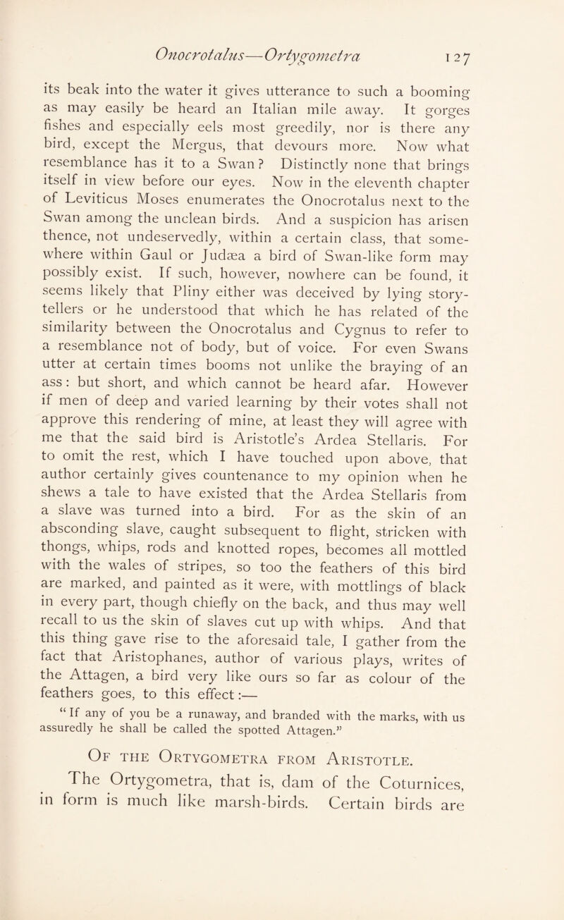its beak into the water it gives utterance to such a booming as may easily be heard an Italian mile away. It gorges fishes and especially eels most greedily, nor is there any bird, except the Mergus, that devours more. Now what resemblance has it to a Swan ? Distinctly none that brings itself in view before our eyes. Now in the eleventh chapter of Leviticus Moses enumerates the Onocrotalus next to the Swan among the unclean birds. And a suspicion has arisen thence, not undeservedly, within a certain class, that some¬ where within Gaul or Judaea a bird of Swan-like form may possibly exist. If such, however, nowhere can be found, it seems likely that Pliny either was deceived by lying story¬ tellers or he understood that which he has related of the similarity between the Onocrotalus and Cygnus to refer to a resemblance not of body, but of voice. For even Swans utter at certain times booms not unlike the braying of an ass: but short, and which cannot be heard afar. However if men of deep and varied learning by their votes shall not approve this rendering of mine, at least they will agree with me that the said bird is x4ristotle’s Ardea Stellaris. For to omit the rest, which I have touched upon above, that author certainly gives countenance to my opinion when he shews a tale to have existed that the Ardea Stellaris from a slave was turned into a bird. For as the skin of an absconding slave, caught subsequent to flight, stricken with thongs, whips, rods and knotted ropes, becomes all mottled with the wales of stripes, so too the feathers of this bird are marked, and painted as it were, with mottlings of black in every part, though chiefly on the back, and thus may well recall to us the skin of slaves cut up with whips. And that this thing gave rise to the aforesaid tale, I gather from the fact that Aristophanes, author of various plays, writes of the Attagen, a bird very like ours so far as colour of the feathers goes, to this effect:— “ If any of you be a runaway, and branded with the marks, with us assuredly he shall be called the spotted Attagen.” Of the Ortygometra from Aristotle. The Ortygometra, that is, dam of the Coturnices, in form is much like marsh-birds. Certain birds are