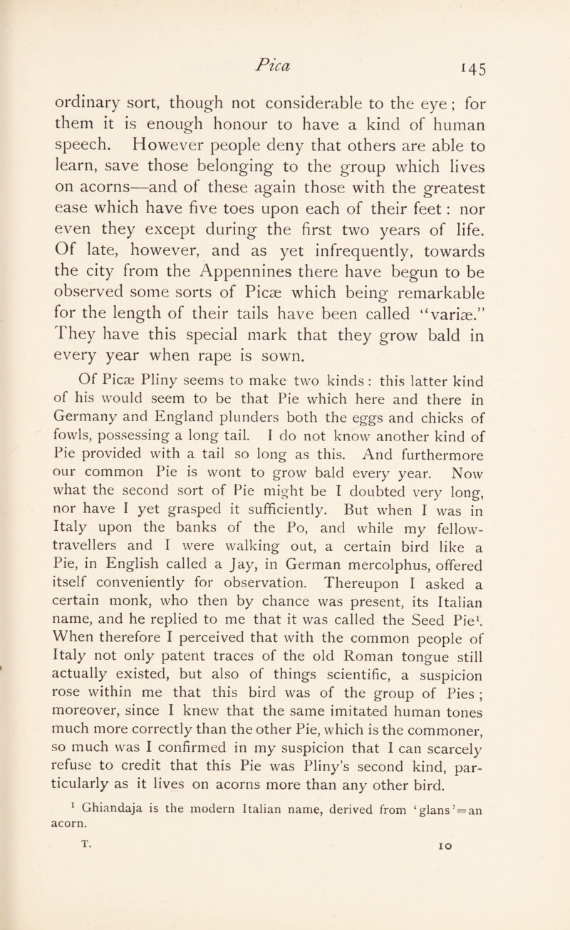 H5 ordinary sort, though not considerable to the eye ; for them it is enough honour to have a kind of human speech. However people deny that others are able to learn, save those belonging to the group which lives on acorns—and of these again those with the greatest ease which have five toes upon each of their feet: nor even they except during the first two years of life. Of late, however, and as yet infrequently, towards the city from the Appennines there have begun to be observed some sorts of Picae which being remarkable for the length of their tails have been called ‘Aariae.” They have this special mark that they grow bald in every year when rape is sown. Of Picse Pliny seems to make two kinds : this latter kind of his would seem to be that Pie which here and there in Germany and England plunders both the eggs and chicks of fowls, possessing a long tail. I do not know another kind of Pie provided with a tail so long as this. And furthermore our common Pie is wont to grow bald every year. Now what the second sort of Pie might be I doubted very long, nor have I yet grasped it sufficiently. But when I was in Italy upon the banks of the Po, and while my fellow- travellers and I were walking out, a certain bird like a Pie, in English called a Jay, in German mercolphus, offered itself conveniently for observation. Thereupon I asked a certain monk, who then by chance was present, its Italian name, and he replied to me that it was called the Seed Piek When therefore I perceived that with the common people of Italy not only patent traces of the old Roman tongue still actually existed, but also of things scientific, a suspicion rose within me that this bird was of the group of Pies ; moreover, since I knew that the same imitated human tones much more correctly than the other Pie, which is the commoner, so much was I confirmed in my suspicion that I can scarcely refuse to credit that this Pie was Pliny’s second kind, par¬ ticularly as it lives on acorns more than any other bird. ^ Ghiandaja is the modern Italian name, derived from ‘ glans’ = an acorn. T. lO