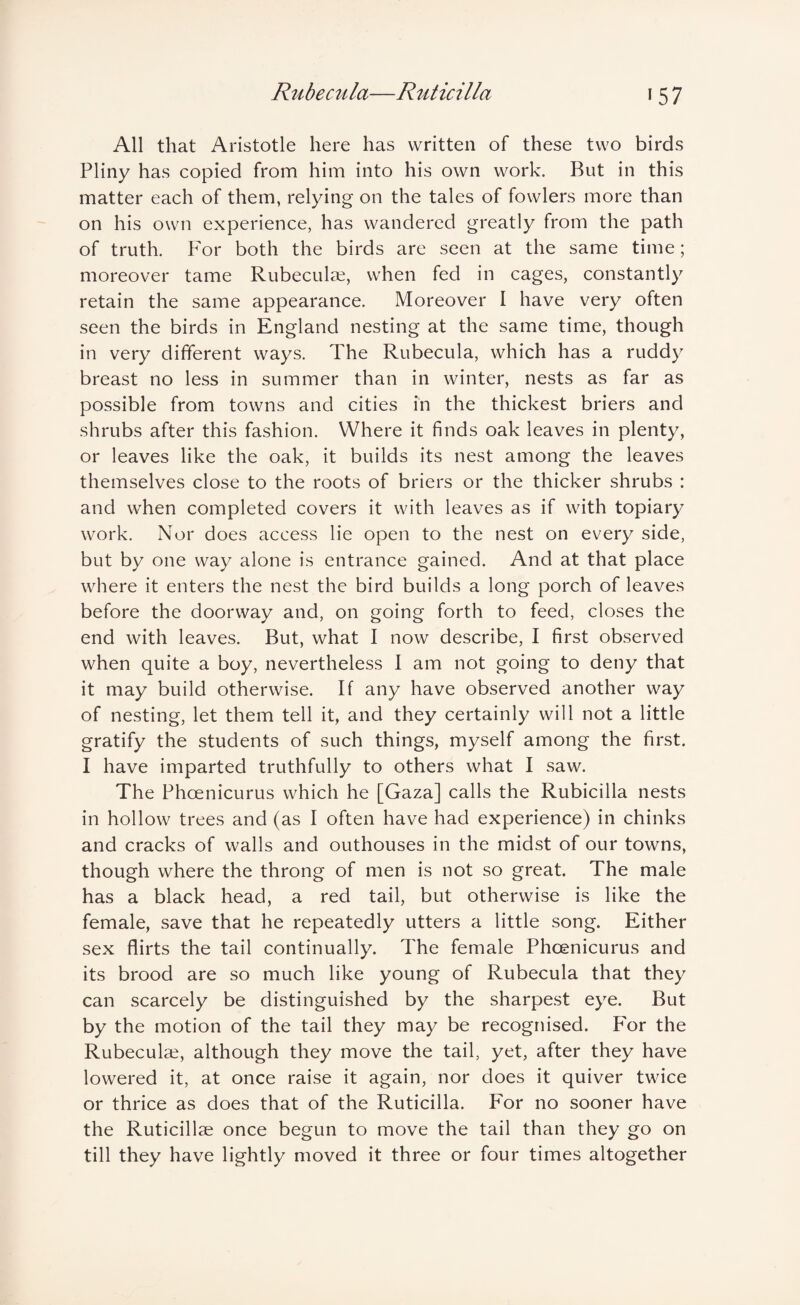 All that Aristotle here has written of these two birds Pliny has copied from him into his own work. But in this matter each of them, relying on the tales of fowlers more than on his own experience, has wandered greatly from the path of truth. For both the birds are seen at the same time; moreover tame Rubeculae, when fed in cages, constantly retain the same appearance. Moreover I have very often seen the birds in England nesting at the same time, though in very different ways. The Rubecula, which has a rudd}^ breast no less in summer than in winter, nests as far as possible from towns and cities in the thickest briers and shrubs after this fashion. Where it finds oak leaves in plenty, or leaves like the oak, it builds its nest among the leaves themselves close to the roots of briers or the thicker shrubs : and when completed covers it with leaves as if with topiary work. Nor does access lie open to the nest on every side, but by one way alone is entrance gained. And at that place where it enters the nest the bird builds a long porch of leaves before the doorway and, on going forth to feed, closes the end with leaves. But, what I now describe, I first observed when quite a boy, nevertheless I am not going to deny that it may build otherwise. If any have observed another way of nesting, let them tell it, and they certainly will not a little gratify the students of such things, myself among the first. I have imparted truthfully to others what I saw. The Phoenicurus which he [Gaza] calls the Rubicilla nests in hollow trees and (as I often have had experience) in chinks and cracks of walls and outhouses in the midst of our towns, though where the throng of men is not so great. The male has a black head, a red tail, but otherwise is like the female, save that he repeatedly utters a little song. Either sex flirts the tail continually. The female Phoenicurus and its brood are so much like young of Rubecula that they can scarcely be distinguished by the sharpe.st eye. But by the motion of the tail they may be recognised. P'or the Rubeculae, although they move the tail, yet, after they have lowered it, at once raise it again, nor does it quiver twice or thrice as does that of the Ruticilla. For no sooner have the Ruticillae once begun to move the tail than they go on till they have lightly moved it three or four times altogether
