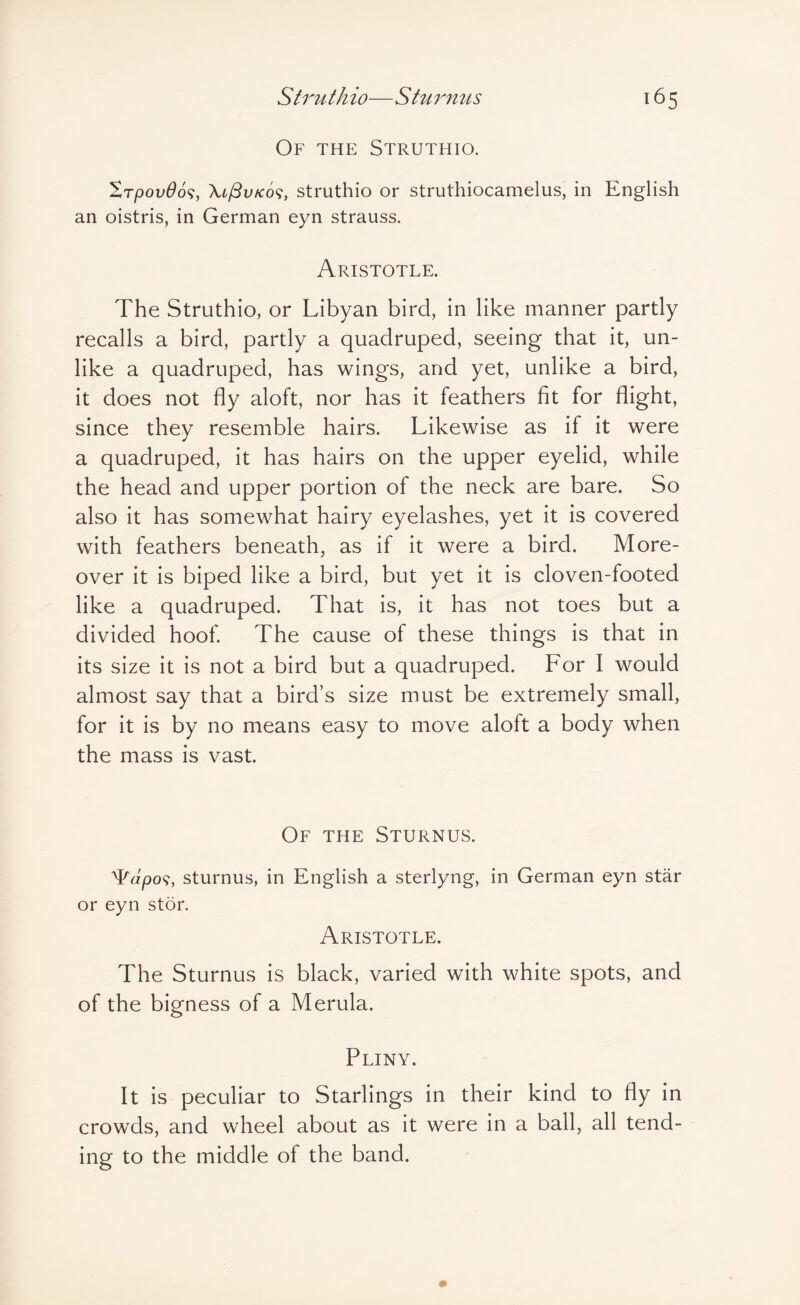 Strti th io—turmis Of the Struthio. 'ErpovOo^:, \l^vk6<;, struthio or struthiocamelus, in English an oistris, in German eyn strauss. Aristotle. The Struthio, or Libyan bird, in like manner partly recalls a bird, partly a quadruped, seeing that it, un¬ like a quadruped, has wings, and yet, unlike a bird, it does not fly aloft, nor has it feathers fit for flight, since they resemble hairs. Likewise as if it were a quadruped, it has hairs on the upper eyelid, while the head and upper portion of the neck are bare. So also it has somewhat hairy eyelashes, yet it is covered with feathers beneath, as if it were a bird. More¬ over it is biped like a bird, but yet it is cloven-footed like a quadruped. That is, it has not toes but a divided hoof. The cause of these things is that in its size it is not a bird but a quadruped. For I would almost say that a bird’s size must be extremely small, for it is by no means easy to move aloft a body when the mass is vast. Of the Sturnus. T«/309, sturnus, in English a sterlyng, in German eyn star or eyn stor. Aristotle. The Sturnus is black, varied with white spots, and of the bigness of a Merula. Pliny. It is peculiar to Starlings in their kind to fly in crowds, and wheel about as it were in a ball, all tend¬ ing to the middle of the band.