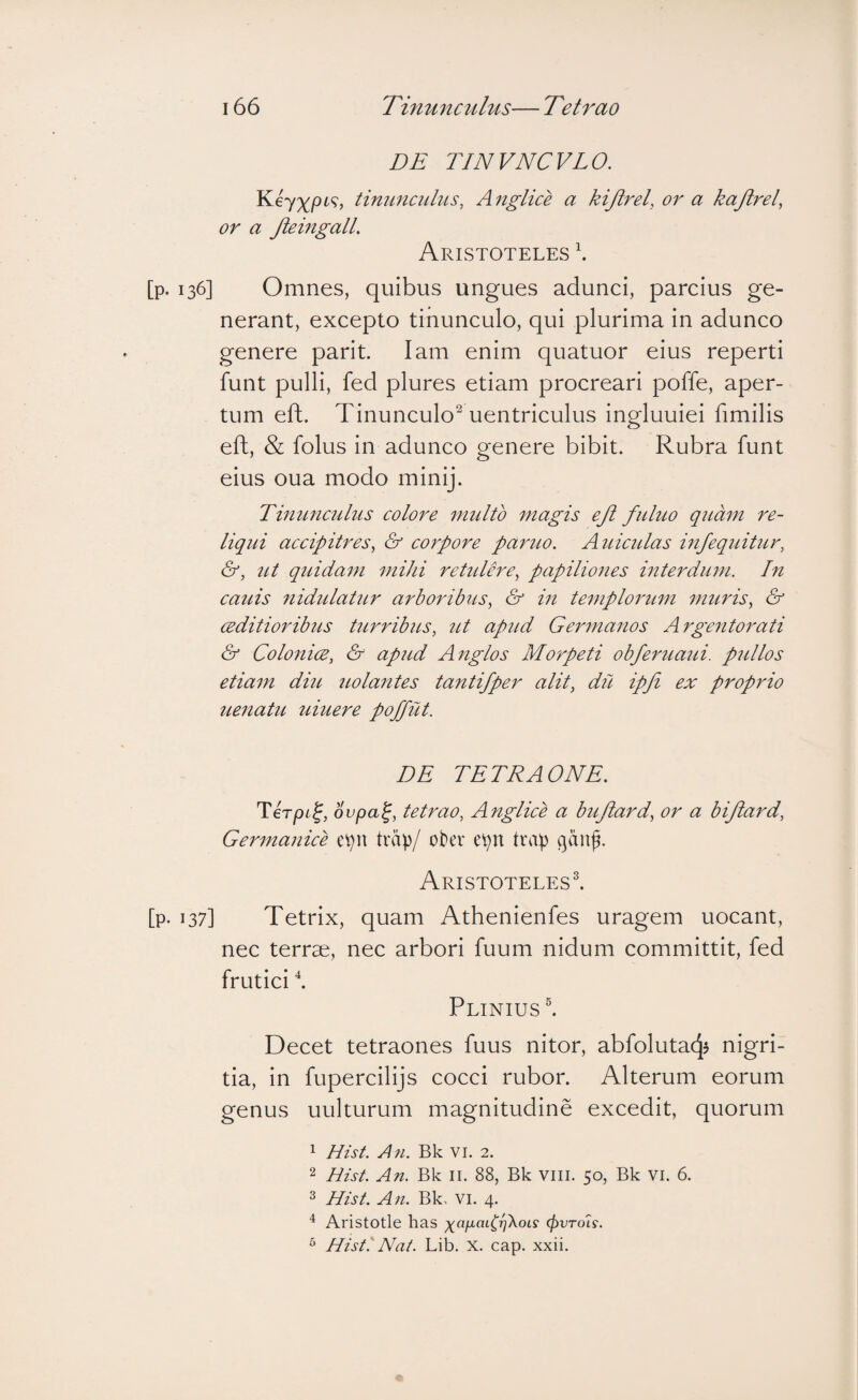 DE TINVNCVLO. Kejxpt^, tinunculus, Anglice a kijlrel, or a kajlj^el, or a JleingalL Aristoteles \ [p. 136] Omnes, quibus ungues adunci, parcius ge¬ nerant, excepto tinunculo, qui plurima in adunco genere parit. lam enim quatuor eius reperti funt pulli, fed plures etiam procreari poffe, aper¬ tum eft. Tinunculo^ uentriculus ingluuiei fimilis eft, & folus in adunco genere bibit. Rubra funt eius oua modo minij. Timmcultts colore niulto magis eji fuluo quam re¬ liqui accipitres, & corpore paruo, Auiculas infequitur, &, ut quidam mihi rettdere, papiliones interdum. In cauis fiidulatur arboribus, & in templorum muris, & ceditioribus turribus, ut apitd Germanos Argentorati & Colonice, & apud Anglos Morpeti obferuaui. pullos etiam dm twlantes tantifper alit, du ipji ex proprio tienatu uiuere poffut. DE TETRAONE. Tirpc^, 6' vpa^, tetrao, Anglice a bujiard, or a bijiard, Germanice i\)\\ trap/ obev epn trap ganf. Aristoteles^ [p* 137] Tetrix, quam Athenienfes uragem uocant, nec terrae, nec arbori fuum nidum committit, fed frutici ^ Plinius Decet tetraones fuus nitor, abfolutacjj nigri¬ tia, in fupercilijs cocci rubor. Alterum eorum genus uulturum magnitudine excedit, quorum ^ Hist. An. Bk VI. 2. 2 Hist. A?t. Bk II. 88, Bk vili. 50, Bk VI. 6. ^ Hist. An. Bk, vi. 4. Aristotle has -^ayLadrikoLs (f)vTo7s. ^ Hist. Nat. Lib. X. cap. xxii.
