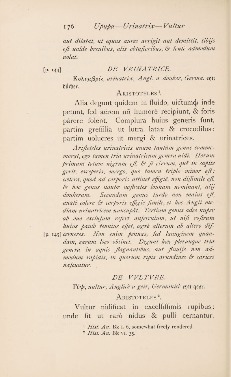 I 76 upupa— UiPnatrix— Vultur aut dilatat^ ut equus aures arrigit aut demittit, tibijs eji ualde breuibus.^ alis obtufioribus& lente admodum uolat. [p. 144] DE VRINA TRICE. urinatrix, Angi, a douker, Germa. ei)n bucket. Aristoteles \ Alia degunt quidem in fluido, uiftum^J inde petunt, fed aerem no humore recipiunt, & foris parere folent. Complura huius generis funt, partim greffilia ut lutra, latax & crocodilus: partim uolucres ut mergi & urinatrices. Arifloteles urinatricis unum tantum genus eomme- morat, ego tamen tria urinatrieum genera uidi. Horum primum totum nigrum efl. & fi cirrum, que in eapite gerit, exceperis, mergo, quo tamen triplo minor efi: ccetera, quod ad corporis attinet effigie, non diffmile efi. & hoc genus nautce noflrates lounam nominant, alij doukeram. Secundum genus turdo non maius efi, anati colore & corporis effigie fiimile, et hoc Angli me¬ diam urinatricem nuncupat. Tertium genus adeo nuper ab ouo exclufium refert anferculum, ut nifi rofirum huius paulo tenuius effiet, cegre alterum ab altero dif- [p. 145] cerneres. Non enim pennas, fed lanuginem quan- dam, earum loco obtinet. Degunt hcEc plerunque tria genera in aquis fiagnantibus, aut fluuifs non ad¬ modum rapidis, in quorum ripis arundines & carices nafcuntur. DE VVLTVRE. Tiiyp, uultur, Anglice a geir, Germanice ei)n geV)r. Aristoteles l Vultur nidificat in excelfiffimis rupibus: unde fit ut raro nidus & pulli cernantur. 1 Hist. An. Bk i. 6, somewhat freely rendered. 2 Hist. An. Bk vi. 35.