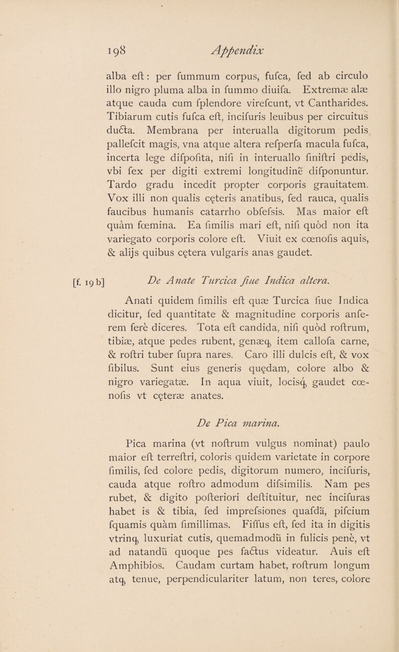 [f. 19 b] alba eft: per fummum corpus, fufca, fed ab circulo illo nigro pluma alba in fummo diuifa. Extremae alae atque cauda cum fplendore virefcunt, vt Cantharides. Tibiarum cutis fufca efh, incifuris lenibus per circuitus du6ta. Membrana per interualla digitorum pedis pallefcit magis, vna atque altera refperfa macula fufca, incerta lege difpofita, nifi in interuallo fmiftri pedis, vbi fex per digiti extremi longitudine difponuntur. Tardo gradu incedit propter corporis grauitatem. Vox illi non qualis ceteris anatibus, fed rauca, qualis faucibus humanis catarrho obfefsis. Mas maior eft quam foemina. Ea fimilis mari eft, nifi quod non ita variegato corporis colore eft. Viuit ex coenofis aquis, & alijs quibus cetera vulgaris anas gaudet. De Anate Dircica fine Indica altera. Anati quidem fimilis eft quae Turcica fiue Indica dicitur, fed quantitate & magnitudine corporis anfe- rem fere diceres. Tota eft candida, nifi quod roftrum, tibiae, atque pedes rubent, genaeq item callofa carne, & roftri tuber fupra nares. Caro illi dulcis eft, & vox fibilus. Sunt eius generis quadam, colore albo & nigro variegatae. In aqua viuit, locisq gaudet coe¬ nofis vt ceterae anates. De Pica marina. Pica marina (vt noftrum vulgus nominat) paulo maior eft terreftri, coloris quidem varietate in corpore fimilis, fed colore pedis, digitorum numero, incifuris, cauda atque roftro admodum difsimilis. Nam pes rubet, & digito pofteriori deftituitur, nec incifuras habet is & tibia, fed imprefsiones quafda, pifcium fquamis quam fimillimas. Eiffus eft, fed ita in digitis vtrinq luxuriat cutis, quemadmodu in fulicis pene, vt ad natandu quoque pes fadlus videatur. Auis eft Amphibios. Caudam curtam habet, roftrum longum atq tenue, perpendiculariter latum, non teres, colore