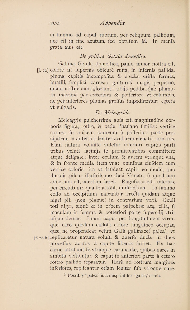 in fummo ad caput rubrum, per reliquum pallidum, nec eft in fine acutum, fed obtufum id. In menfa grata auis eft. De gallina Getida domeflica. Gallina Getula domeftica, paulo minor noftra eft, [f. 20] colore in fupernis obfcure ruffa, in infernis pallida, pluma capitis incompofita & eredla, crifta ferrata, humili, fimplici, carnea: gutturofa magis perpetuo, quam noftrae cum glociunt: tibijs pedibusque plumo- fis, maxime per exteriora & pofteriora vt columbis, ne per interiores plumas greffus impedirentur: cetera vt vulgaris. De Meleagride. Meleagris pulcherrima auis eft, magnitudine cor¬ poris, figura, roftro, & pede Phafiano fimilis : vertice corneo, in apicem corneum a pofteriori parte pre- cipitem, in anteriori leniter acclinem eleuato, armatus. Eum natura voluiffe videtur inferiori capitis parti tribus veluti lacinijs fe promittentibus committere atque deligare: inter oculum & aurem vtrinque vna, & in fronte media item vna: omnibus eiufdem cum vertice coloris: ita vt infideat capiti eo modo, quo ducalis pileus illuftrifsimo duci Veneto, fi quod iam aduerfum eft, auerfum fieret. Rugofus is eft: inferius, per circuitum : qua fe attolit, in diredlum. In fummo collo ad occipitium nafcuntur ere6li quidam atque nigri pili (non plumae) in contrarium verfi. Oculi toti nigri, aeque & in orbem palpebrae atq^ cilia, fi maculam in fumma & pofteriori parte fupercilij vtri- ufque demas. Imum caput per longitudinem vtrin¬ que caro quadam callofa colore fanguineo occupat, quae ne propendeat veluti Galli gallinacei paleafi vt [f. 20 b] replicaretur natura voluit, & auerfo du6lu in duos proceffus acutos a capite liberos finiret. Ex hac carne attollunt fe vtrinque carunculae, quibus nares in ambitu veftiuntur, & caput in anteriori parte a cqtero roftro pallido feparatur. Harii ad roftrum margines inferiores, replicantur etiam leuiter fub vtroque nare. ^ Possibly ‘palea’ is a misprint for ‘galea,’ comb.