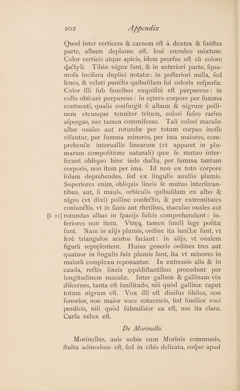 Quod inter verticem & carnem eft a dextra & finiftra parte, album deplume eft, leui coeruleo mixtum. Color verticis atque apicis, idem prorfus eft cu colore cladlyli. Tibiae nigrae funt, & in anteriori parte, fqua- mofa incifura duplici notatae: in pofteriori nulla, fed leues, & veluti pundlis quibufdam fui coloris refperfae. Color illi fub faucibus exquifite eft purpureus: in collo obfcure purpureus : in cqtero corpore per fumma contuenti, qualis confurgit fi album & nigrum polli- nem vtcunque tenuiter tritum, colori fufco rarius afpergas, nec tamen commifceas. Tali colori maculae albae ouales aut rotundae per totum corpus ineffe vifuntur, per fumma minores, per ima maiores, com- prehenfae interuallis linearum (vt apparet in plu¬ marum compofitione naturali) quae fe mutuo inter- fecant obliquo hinc inde du6lu, per fumma tantum corporis, non item per ima. Id non ex toto corpore folum deprehendes, fed ex fingulis auulfis plumis. Superiores enim, obliquis lineis fe mutuo interfecan- tibus, aut, fi mauis, orbiculis quibufdam ex albo & nigro (vt dixi) polline confedlis, & per extremitates coniundlis, vt in fauis aut rhetibus, maculas ouales aut [f. 21] rotundas albas in fpacijs fufcis comprehendunt: in¬ feriores non item. Vtreq, tamen fimili lege pofitae funt. Nam in alijs plumis, ordine ita iunclae funt, vt fere triangulos acutos faciant: in alijs, vt oualem figura reprqfentent. Huius generis ordines tres aut quatuor in fingulis fuis plumis funt, ita vt minores in maioru complexu reponantur. In extremis alis & in cauda, redlis lineis ^quidiftantibus procedunt per longitudinem maculae. Inter gallum & gallinam vix difcernes, tanta eft fimilitudo, nifi quod gallina caput totum nigrum eft. Vox illi eft diuifus fibilus, non fonorior, non maior voce coturnicis, fed fimilior voci perdicis, nifi quod fubmifsior ea eft, nec ita clara. Curfu velox eft. De Morinello. Morinellus, auis nobis cum Morinis communis, ftulta admodum eft, fed in cibis delicata, eoque apud
