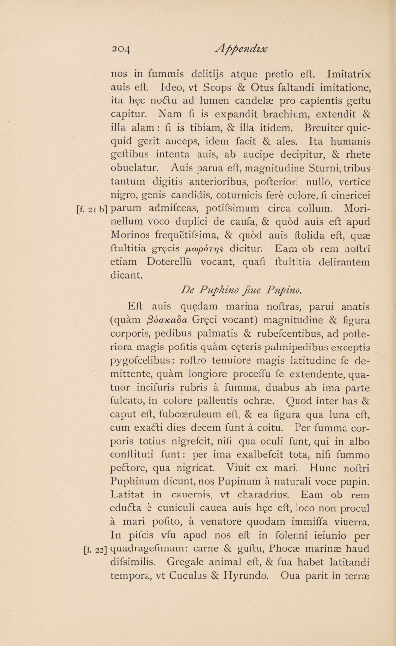 nos in fummis delitijs atque pretio eft. Imitatrix auis eft. Ideo, vt Scops & Otus faltandi imitatione, ita hqc no6tu ad lumen candelae pro capientis geftu capitur. Nam fi is expandit brachium, extendit & illa alam : fi is tibiam, & illa itidem. Breuiter quic- quid gerit auceps, idem facit & ales. Ita humanis geftibus intenta auis, ab aucipe decipitur, & rhete obuelatur. Auis parua eft, magnitudine Sturni, tribus tantum digitis anterioribus, pofheriori nullo, vertice nigro, genis candidis, coturnicis fere colore, fi cinericei [f. 21 b] parum admifceas, potifsimum circa collum. Mori- nellum voco duplici de caufa, & quod auis efh apud Morinos frequetifsima, & quod auis ftolida eft, quae ftultitia gr^cis /xcopor?;? dicitur. Eam ob rem noftri etiam Doterellii vocant, quafi ftultitia delirantem dicant. De Piiphino fine Pupino. Eft auis qu(^dam marina noftras, parui anatis (quam ^ocFicaha Gr^ci vocant) magnitudine & figura corporis, pedibus palmatis & rubefcentibus, ad pofte- riora magis pofitis quam ceteris palmipedibus exceptis pygofcelibus: roftro tenuiore magis latitudine fe de¬ mittente, quam longiore proceffu fe extendente, qua- tuor incifuris rubris a fumma, duabus ab ima parte fulcato, in colore pallentis ochrae. Quod inter has & caput eft, fubcoeruleum eft, & ea figura qua luna eft, cum exadli dies decem funt a coitu. Per fumma cor¬ poris totius nigrefcit, nifi qua oculi funt, qui in albo conftituti funt: per ima exalbefcit tota, nifi fummo pedlore, qua nigricat. Viuit ex mari. Hunc noftri Puphinum dicunt, nos Pupinum a naturali voce pupin. Latitat in cauernis, vt charadrius. Eam ob rem edudla e cuniculi cauea auis h?c eft, loco non procul a mari pofito, a venatore quodam immiffa viuerra. In pifcis vfu apud nos eft in folenni ieiunio per [f. 22] quadragefimam: carne & guftu. Phocae marinae haud difsimilis. Gregale animal eft, & fua habet latitandi tempora, vt Cuculus & Hyrundo. Oua parit in terrae