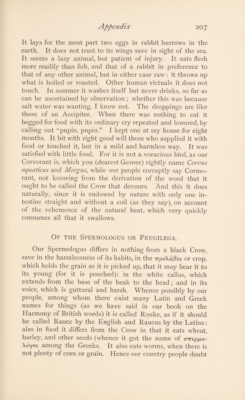 It lays for the most part two eggs in rabbit burrows in the earth. It does not trust to its wings save in sight of the sea. It seems a lazy animal, but patient of injury. It eats flesh more readily than fish, and that of a rabbit in preference to that of any other animal, but in either case raw: it throws up what is boiled or roasted. Other human victuals it does not touch. In summer it washes itself but never drinks, so far as can be ascertained by observation ; whether this was because salt water was wanting, I know not. The droppings are like those of an Accipiter. When there was nothing to eat it begged for food with its ordinary cry repeated and lowered, by calling out “pupin, pupin.” I kept one at my house for eight months. It bit with right good will those who supplied it with food or touched it, but in a mild and harmless way. It was satisfied with little food. For it is not a voracious bird, as our Corvorant is, which you (dearest Gesner) rightly name Corvus aqiLaticus and Mergus, while our people corruptly say Cormo¬ rant, not knowing from the derivation of the word that it ought to be called the Crow that devours. And this it does naturally, since it is endowed by nature with only one in¬ testine straight and without a coil (as they say), on account of the vehemence of the natural heat, which very quickly consumes all that it swallows. Of the Spermologus or Frugilega. Our Spermologus differs in nothing from a black Crow, save in the harmlessness of its habits, in the 7rpoXo/5o9 or crop, which holds the grain as it is picked up, that it may bear it to its young (for it is pouched): in the white callus, which extends from the base of the beak to the head ; and in its voice, which is guttural and harsh. Whence possibly by our people, among whom there exist many Latin and Greek names for things (as we have said in our book on the Harmony of British words) it is called Rouke, as if it should be called Rauce by the English and Raucus by the Latins: also in food it differs from the Crow in that it eats wheat, barley, and other seeds (whence it got the name of airepfio- X0709 among the Greeks. It also eats worms, when there is not plenty of corn or grain. Hence our country people doubt