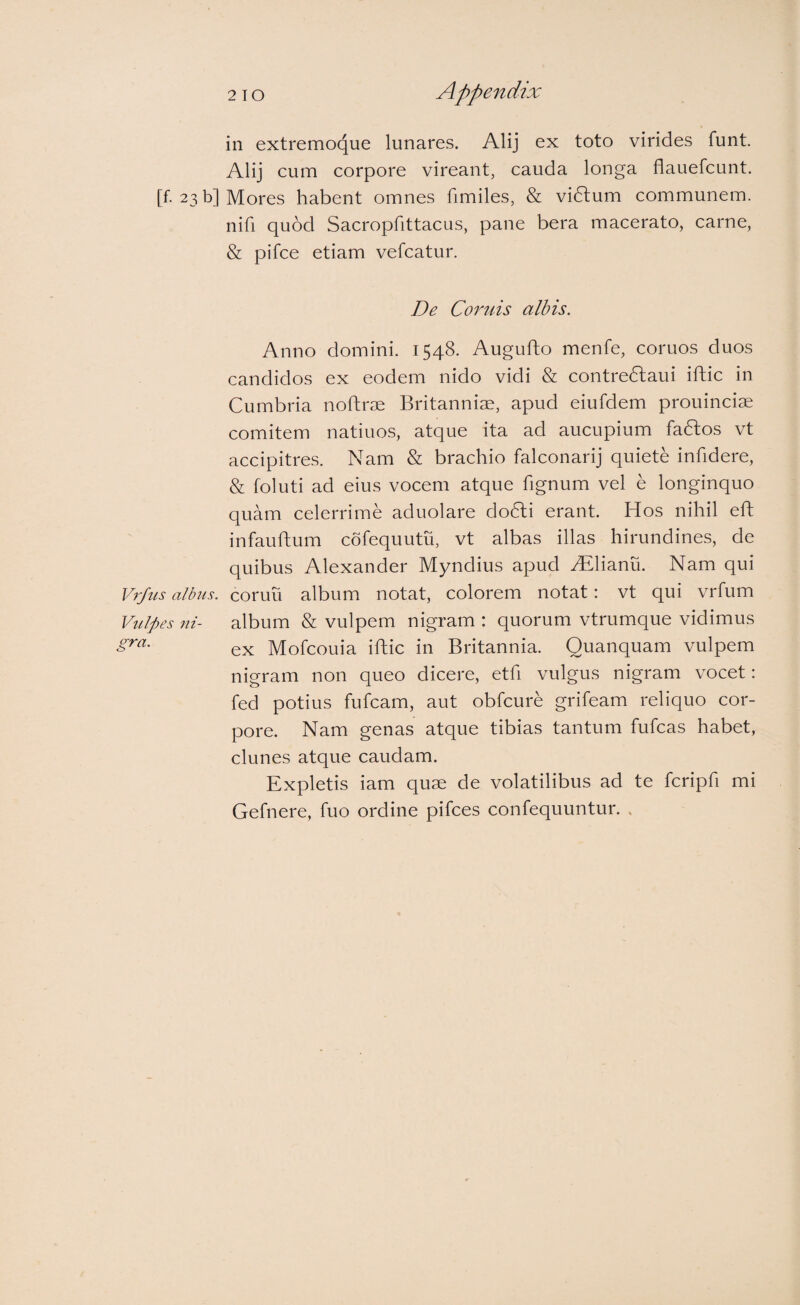 in extremoque lunares. Alij ex toto virides funt. Alij cum corpore vireant, cauda longa flauefcunt. [f. 23 b] Mores habent omnes fimiles, & vidlum communem, nifi quod Sacropfittacus, pane bera macerato, carne, & pifce etiam vefcatur. De Cortiis albis. Anno domini. 1548. Augufto menfe, coruos duos candidos ex eodem nido vidi & contredlaui iftic in Cumbria nofhrm Britanniae, apud eiufdem prouinciae comitem natiuos, atque ita ad aucupium fadlos vt accipitres. Nam & brachio falconarij quiete infidere, & foluti ad eius vocem atque fignum vel e longinquo quam celerrime aduolare do6li erant. Hos nihil eft infauftum cofequutu, vt albas illas hirundines, de quibus Alexander Myndius apud ALlianu. Nam qui Vrjus albus, coruu album notat, colorem notat: vt qui vrfum Vulpes ni- album & vulpem nigram : quorum vtrumque vidimus ex Mofcouia ifhic in Britannia. Quanquam vulpem nigram non queo dicere, etfi vulgus nigram vocet: fed potius fufcam, aut obfcure grifeam reliquo cor¬ pore. Nam genas atque tibias tantum fufcas habet, clunes atque caudam. Expletis iam quae de volatilibus ad te fcripfi mi Gefnere, fuo ordine pifces confequuntur. .