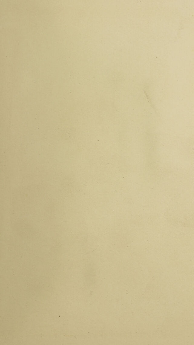 digitised image 3