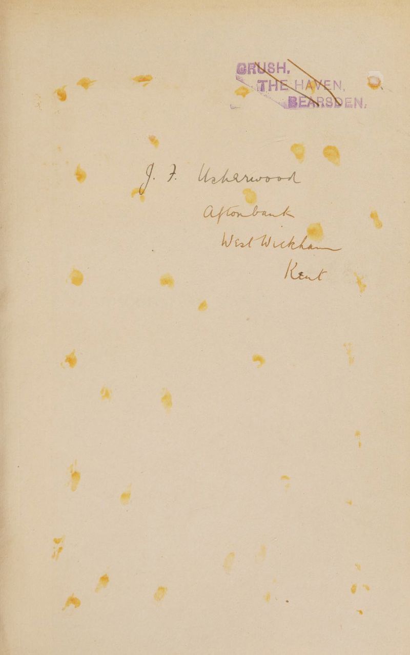 ey | | ? 2) . is * W hess _ ‘ r r ae — ¥ a ak are —— Ja e a se i aa lea aR ay , ars teniyay ye ee ee So aT ET eg Tee” eee re a Oy a otc pitas Oe ey ee ie lpia SE ee ene Sev at _—— “* es al o wlges x a as ~~ T'S ie toy os “— a! (> ¢ Ore 5 = —