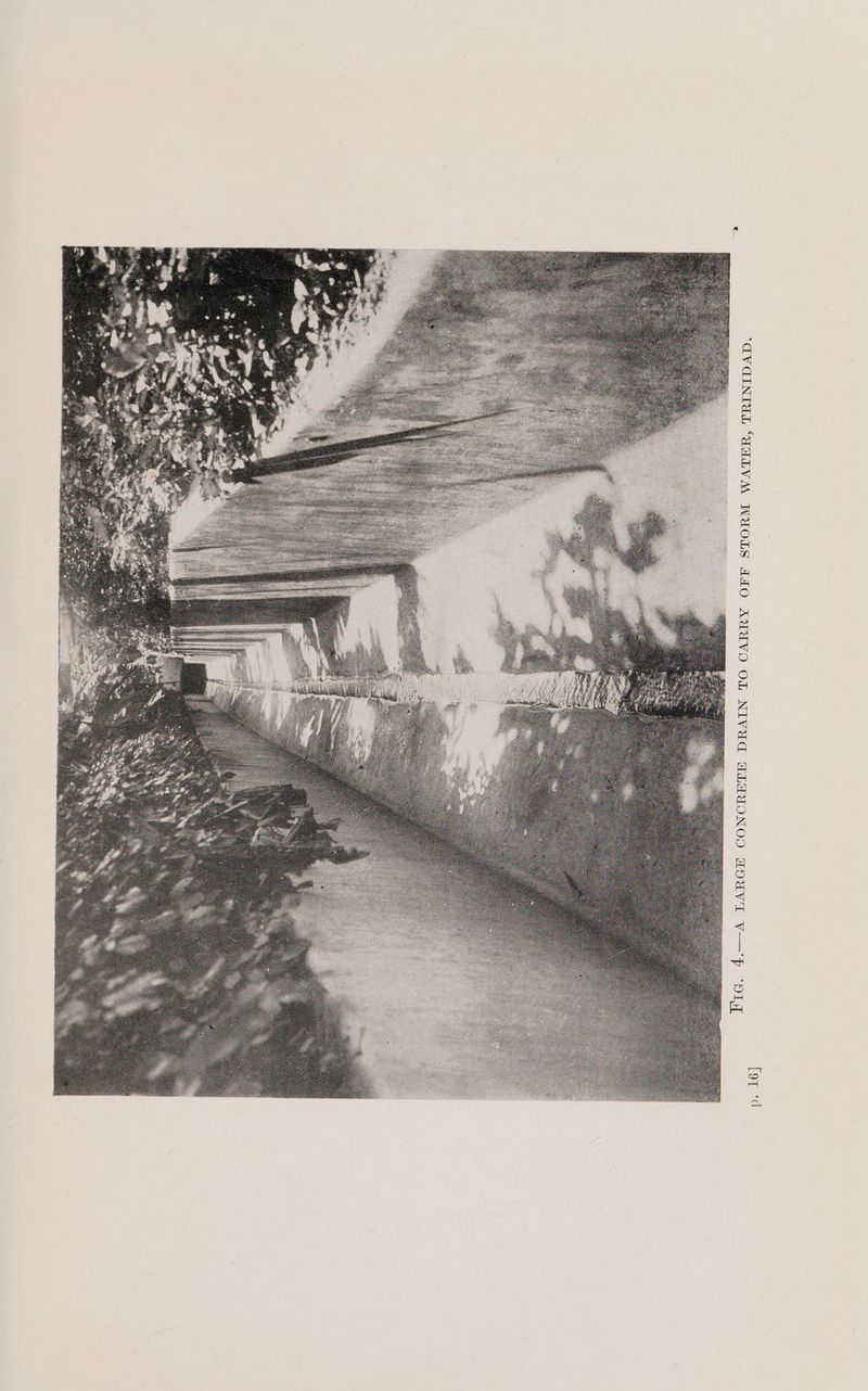 “adVCINIUL “AALVM WYOLS AHO AUUIVO OL NIVEad ALAYONOOD ub Dela Vf v °