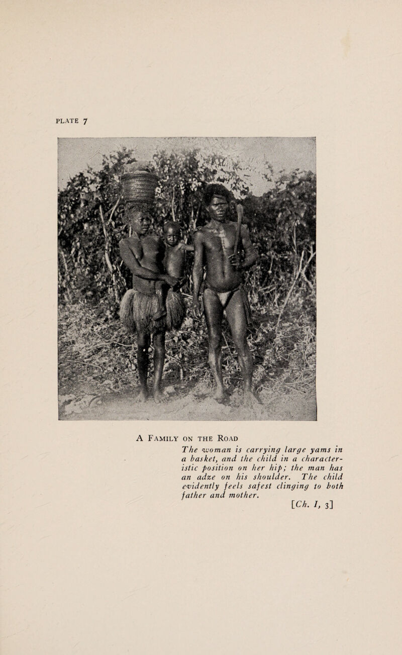 A Family on the Road The woman is carrying large yams in a basket, and the child in a character¬ istic position on her hip; the man has an adze on his shoulder. The child evidently feels safest clinging to both father and mother.