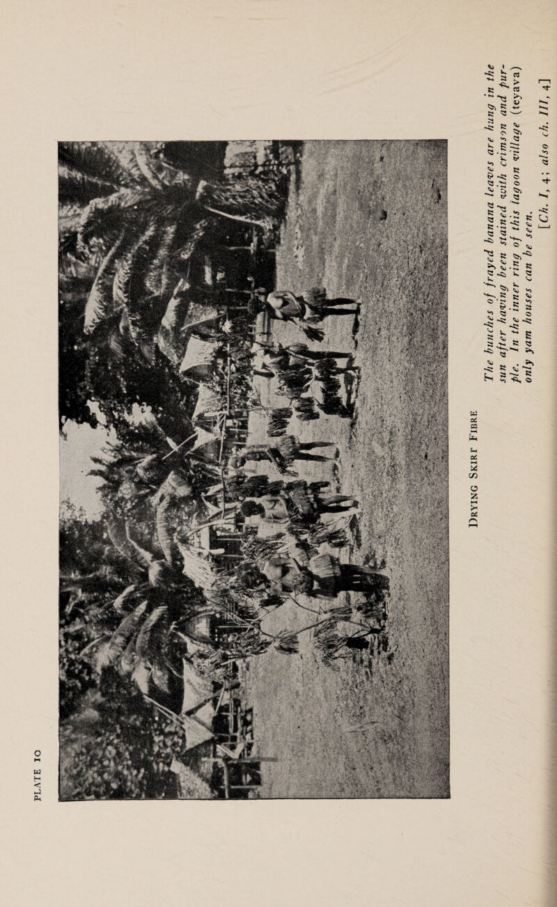 PLATE IO The hunches of frayed banana leaves are hung in the sun after having been stained with crimson and pur¬ ple. In the inner ring of this lagoon village (teyava) only yam houses can be seen. [Ch. I, 4; also ch. Ill, 4]