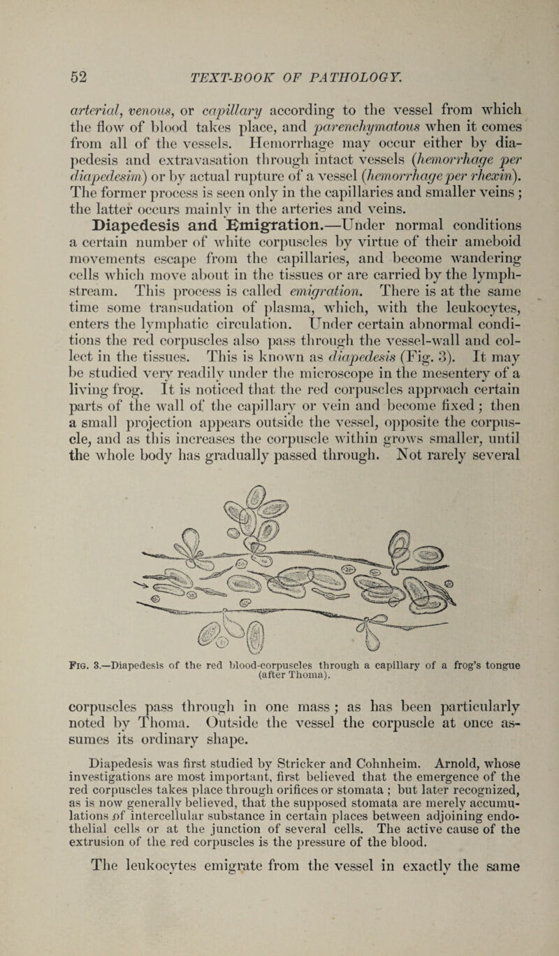 arterial, venous, or capillary according to the vessel from which the flow of blood takes place, and parenchymatous when it comes from all of the vessels. Hemorrhage may occur either by dia- pedesis and extravasation through intact vessels {hemorrhage per diapedesim) or by actual rupture of a vessel {hemorrhage per rhexin). The former process is seen only in the capillaries and smaller veins ; the latter occurs mainly in the arteries and veins. Diapedesis and Immigration.—Under normal conditions a certain number of white corpuscles by virtue of their ameboid movements escape from the capillaries, and become wandering cells which move about in the tissues or are carried by the lymph- stream. This process is called emigration. There is at the same time some transudation of plasma, which, with the leukocytes, enters the lymphatic circulation. Under certain abnormal condi¬ tions the red corpuscles also pass through the vessel-wall and col¬ lect in the tissues. This is known as diapedesis (Fig. 3). It may be studied very readily under the microscope in the mesentery of a living frog. It is noticed that the red corpuscles approach certain parts of the wall of the capillary or vein and become fixed; then a small projection appears outside the vessel, opposite the corpus¬ cle, and as this increases the corpuscle within grows smaller, until the whole body has gradually passed through. Not rarely several Fig. 3.—Diapedesis of the red blood-corpuscles through a capillary of a frog’s tongue (after Thoma). corpuscles pass through in one mass ; as has been particularly noted by Thoma. Outside the vessel the corpuscle at once as¬ sumes its ordinary shape. Diapedesis was first studied by Strieker and Cohnheim. Arnold, whose investigations are most important, first believed that the emergence of the red corpuscles takes place through orifices or stomata ; but later recognized, as is now generally believed, that the supposed stomata are merely accumu¬ lations .of intercellular substance in certain places between adjoining endo¬ thelial cells or at the junction of several cells. The active cause of the extrusion of the red corpuscles is the pressure of the blood. The leukocytes emigrate from the vessel in exactly the same