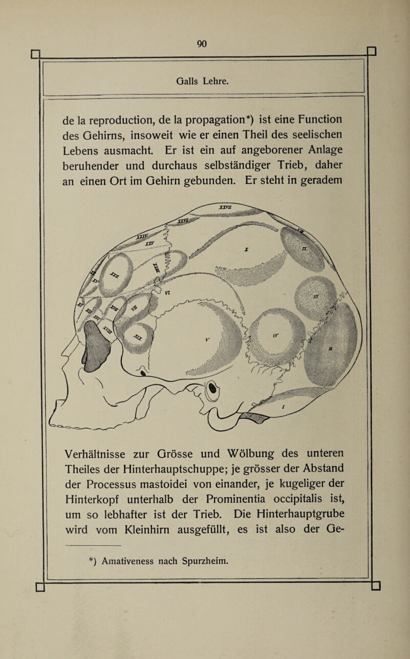 Galls Lehre. de la reproduction, de la propagation*) ist eine Function des Gehirns, insoweit wie er einen Theil des seelischen Lebens ausmacht. Er ist ein auf angeborener Anlage beruhender und durchaus selbständiger Trieb, daher an einen Ort im Gehirn gebunden. Er steht in geradem Verhältnisse zur Grösse und Wölbung des unteren Theiles der Hinterhauptschuppe; je grösser der Abstand der Processus mastoidei von einander, je kugeliger der Hinterkopf unterhalb der Prominentia occipitalis ist, um so lebhafter ist der Trieb. Die Hinterhauptgrube wird vom Kleinhirn ausgefüllt, es ist also der Ge- *) Amativeness nach Spurzheim.