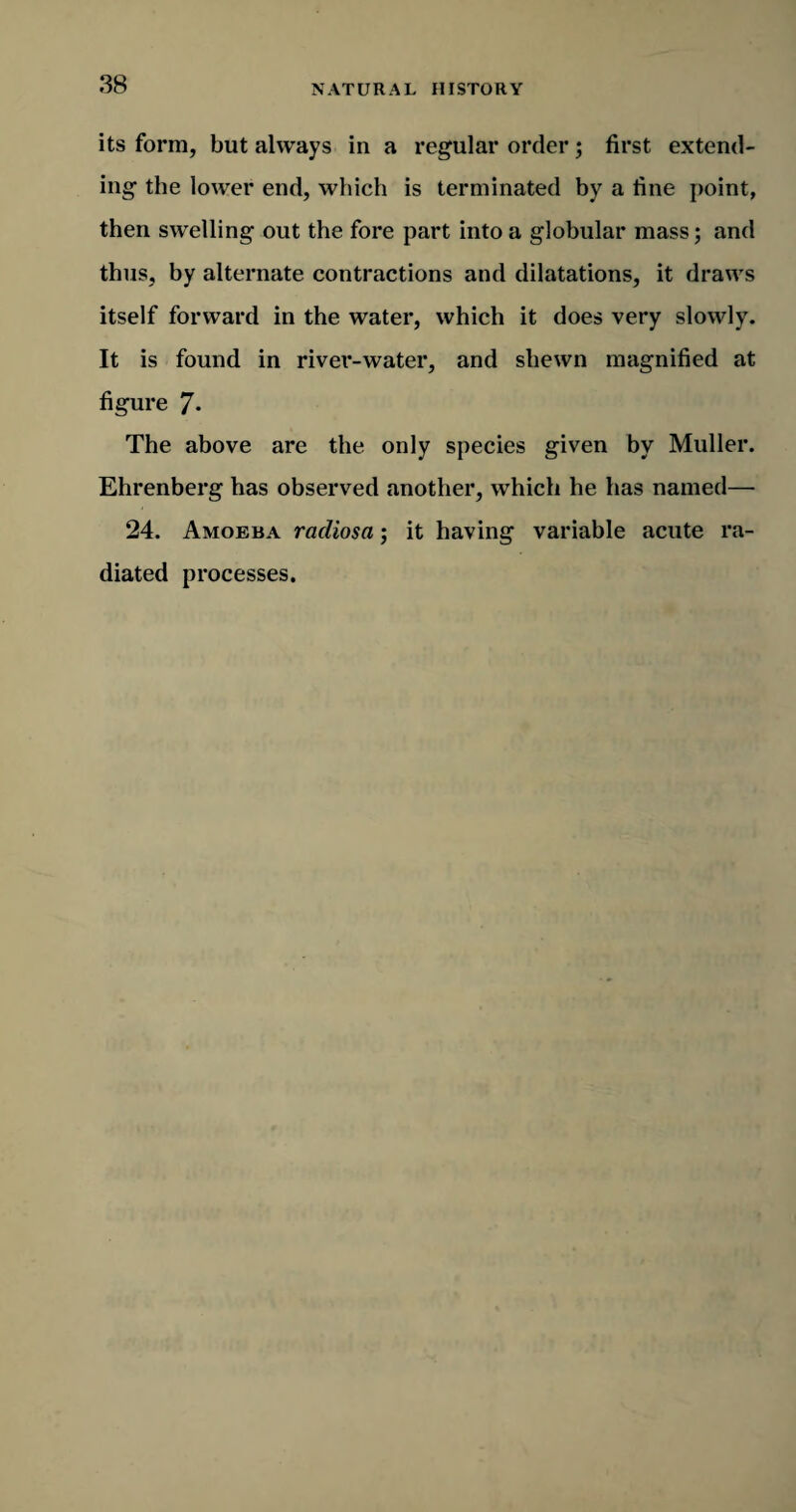 its form, but always in a regular order; first extend¬ ing the lower end, which is terminated by a line point, then swelling out the fore part into a globular mass; and thus, by alternate contractions and dilatations, it draws itself forward in the water, which it does very slowly. It is found in river-water, and shewn magnified at figure 7. The above are the only species given by Muller. Ehrenberg has observed another, which he has named— 24. Amoeba racliosa; it having variable acute ra¬ diated processes.