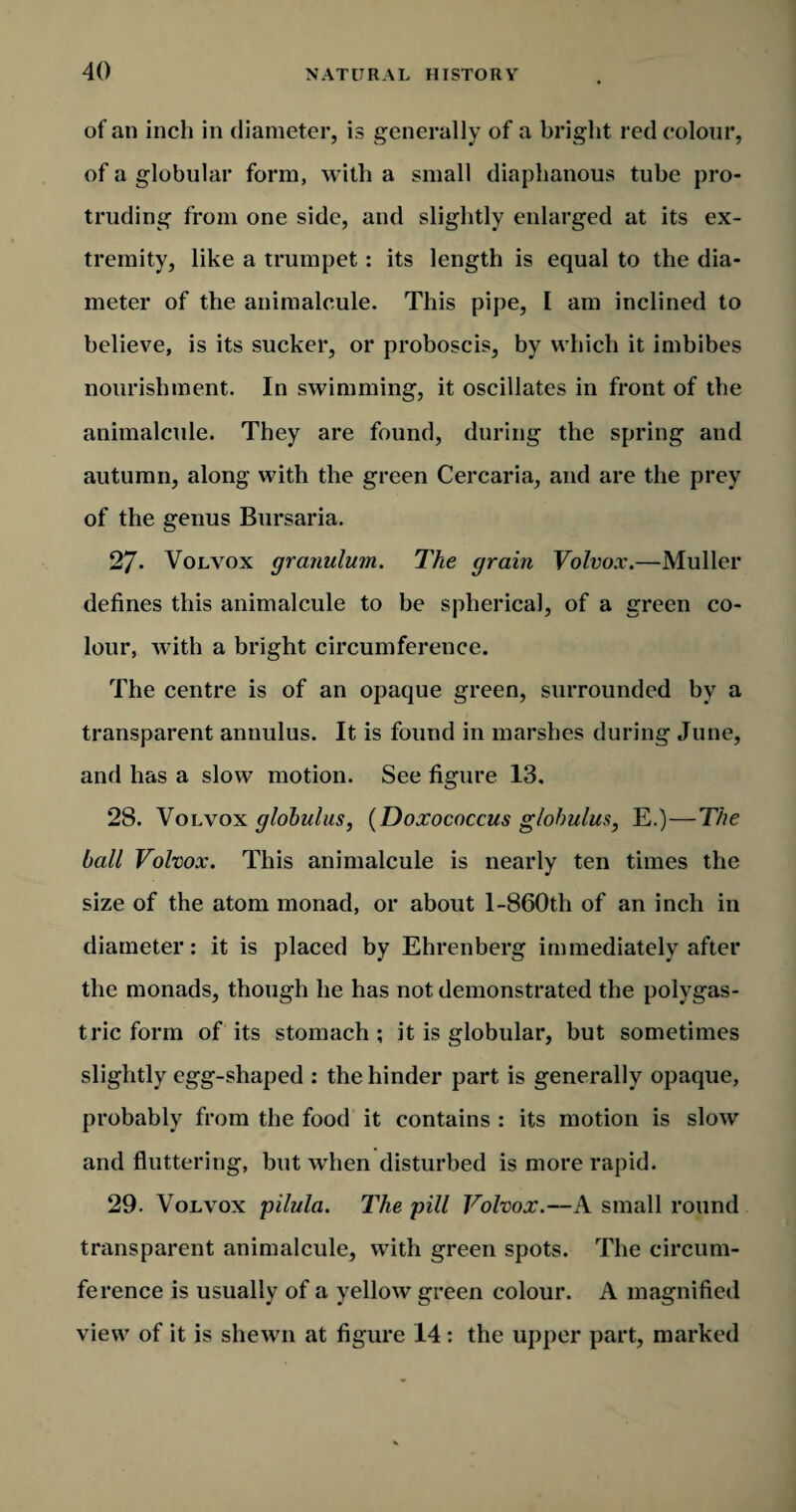 of an inch in diameter, is generally of a bright red colour, of a globular form, with a small diaphanous tube pro¬ truding from one side, and slightly enlarged at its ex¬ tremity, like a trumpet: its length is equal to the dia¬ meter of the animalcule. This pipe, [ am inclined to believe, is its sucker, or proboscis, by which it imbibes nourishment. In swimming, it oscillates in front of the animalcule. They are found, during the spring and autumn, along with the green Cercaria, and are the prey of the genus Bursaria. 27- Volvox granulum. The grain Volvo.r.—Muller defines this animalcule to be spherical, of a green co¬ lour, with a bright circumference. The centre is of an opaque green, surrounded by a transparent annulus. It is found in marshes during June, and has a slow motion. See figure 13, 28. Volvox globulus, (Doxococcus globulus, E.)—The ball Volvox. This animalcule is nearly ten times the size of the atom monad, or about 1-860th of an inch in diameter: it is placed by Ehrenberg immediately after the monads, though he has not demonstrated the polygas- tric form of its stomach ; it is globular, but sometimes slightly egg-shaped : the hinder part is generally opaque, probably from the food it contains : its motion is slow and fluttering, but when disturbed is more rapid. 29. Volvox pilula. The pill Volvox.—A small round transparent animalcule, with green spots. The circum¬ ference is usually of a yellow green colour. A magnified view of it is shewn at figure 14: the upper part, marked